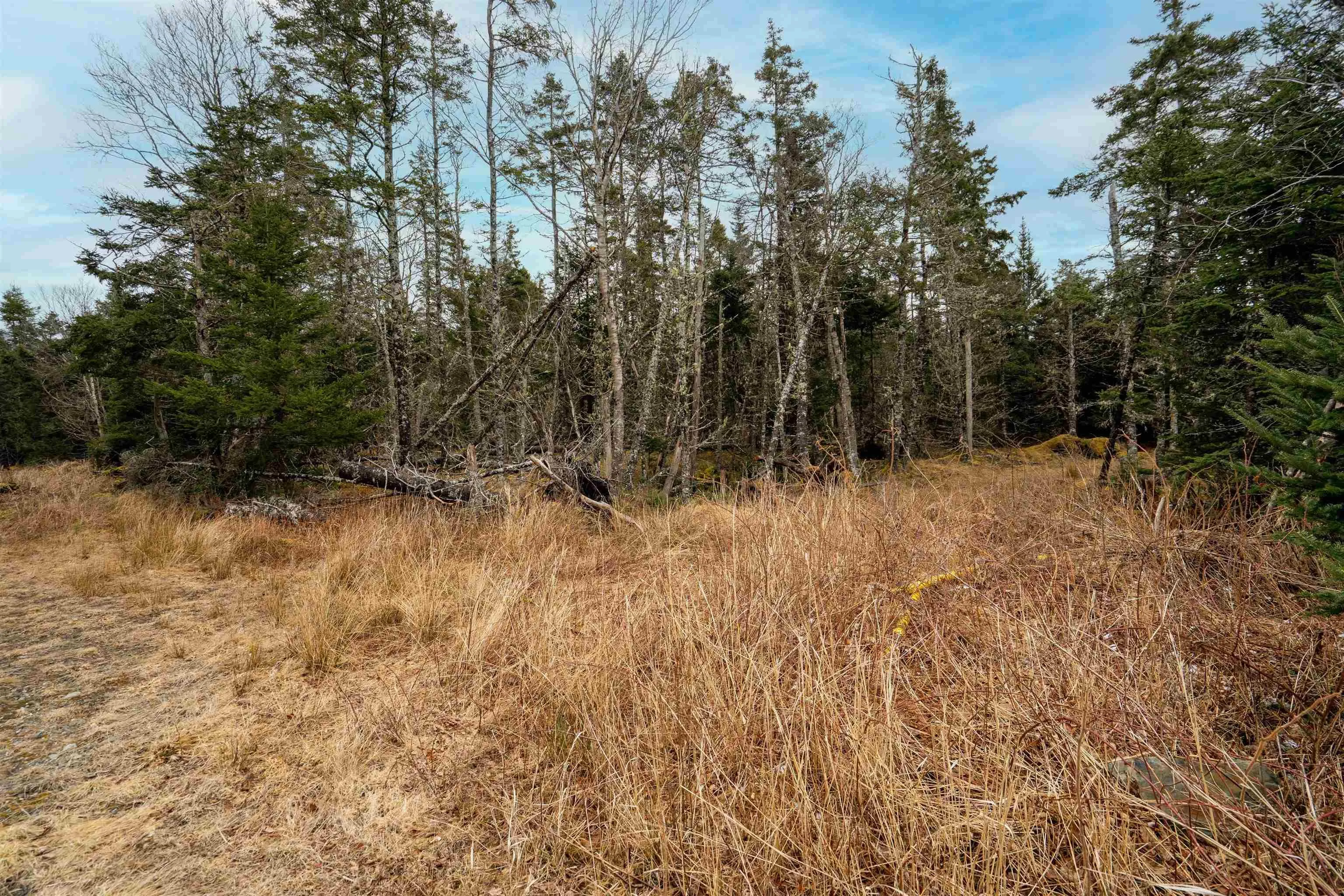 Wine Harbour Village Road Lot 4, Wine Harbour Ns B0j 3c0, ,Land,For Sale,Wine Harbour Village,202507090