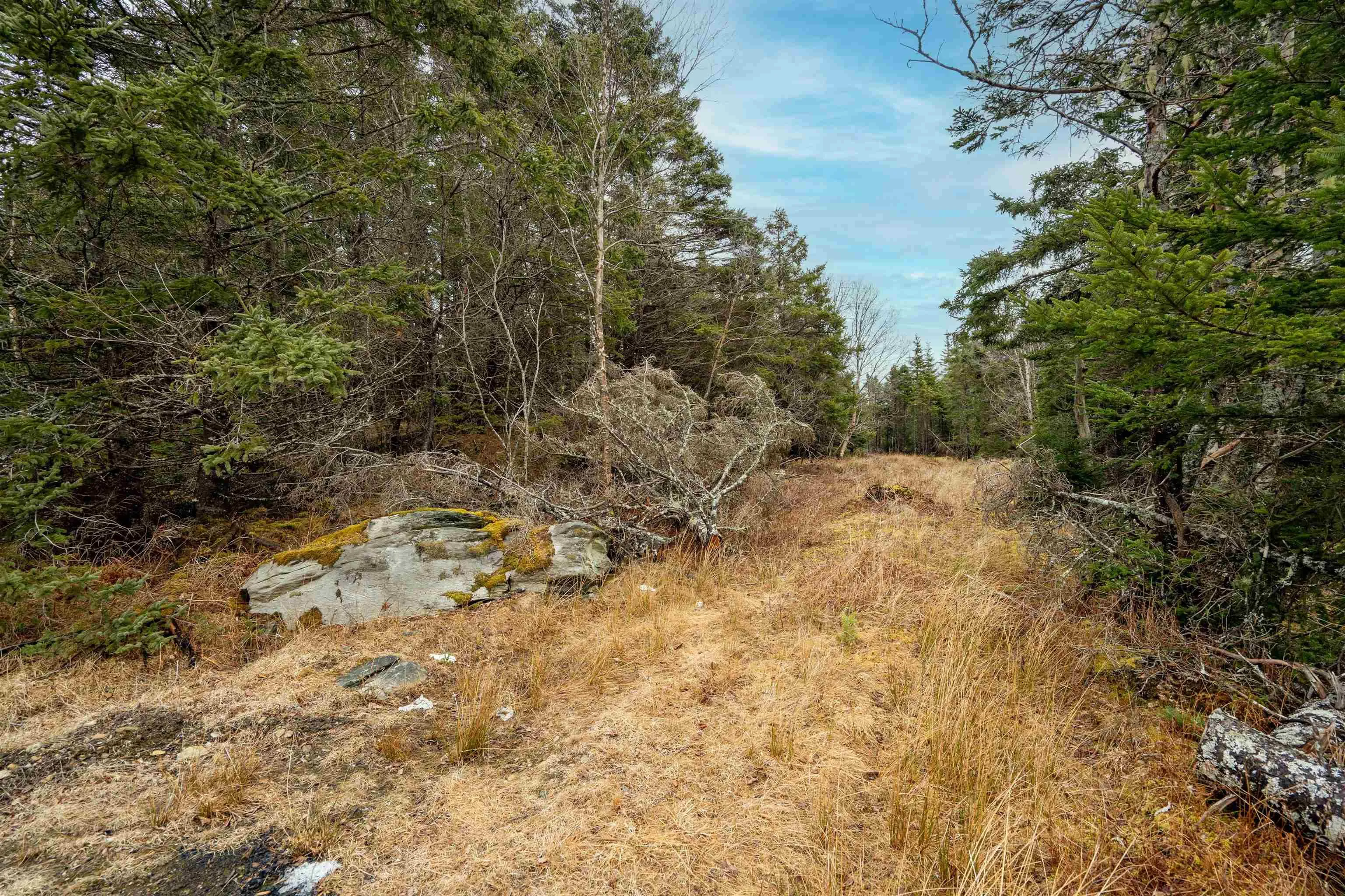 Wine Harbour Village Road Lot 4, Wine Harbour Ns B0j 3c0, ,Land,For Sale,Wine Harbour Village,202507090