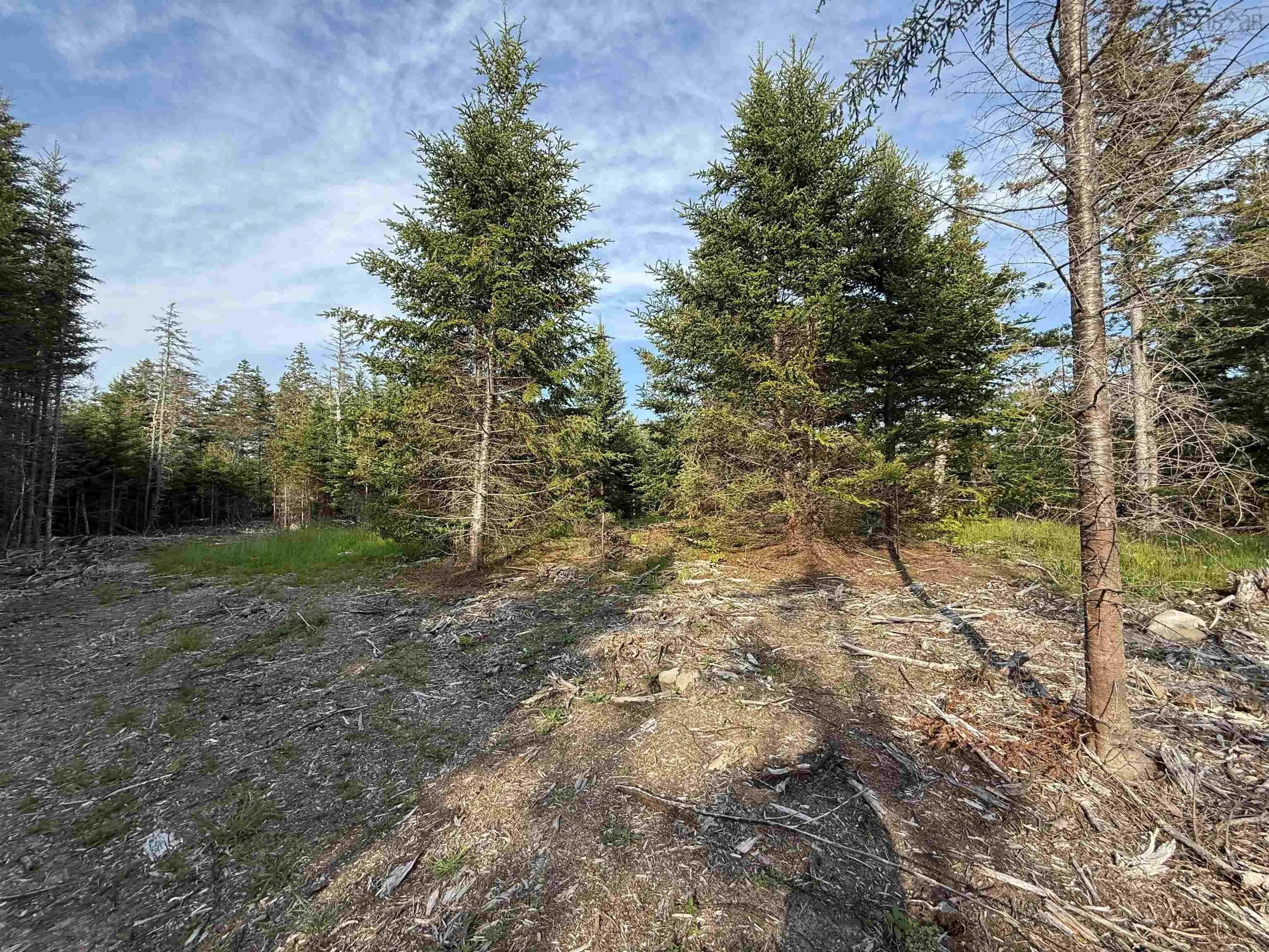 Lot East Sable, East Sable River, NS B0T 1V0, ,Land,For Sale,East Sable,202518658
