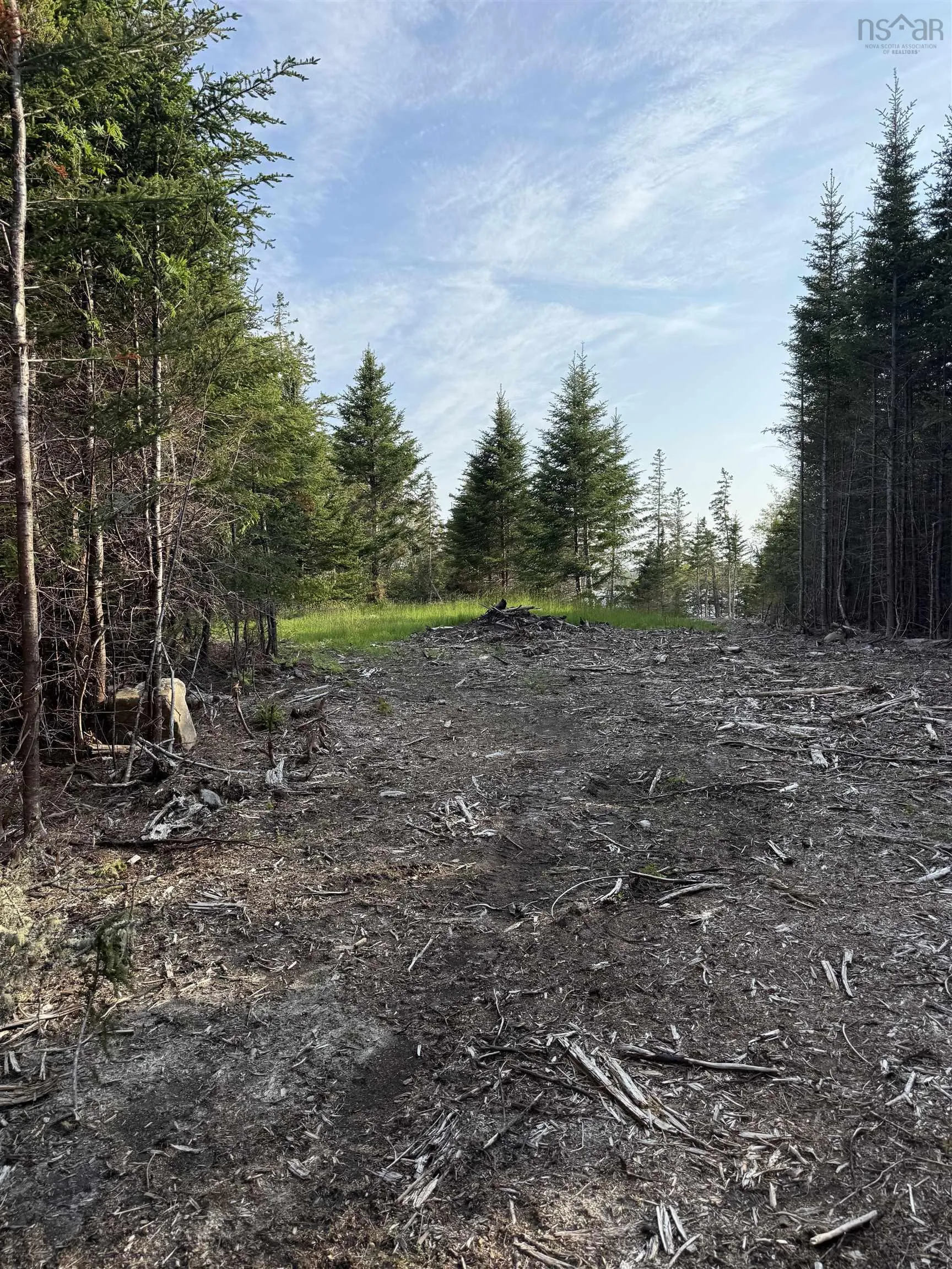 Lot East Sable, East Sable River, NS B0T 1V0, ,Land,For Sale,East Sable,202518658