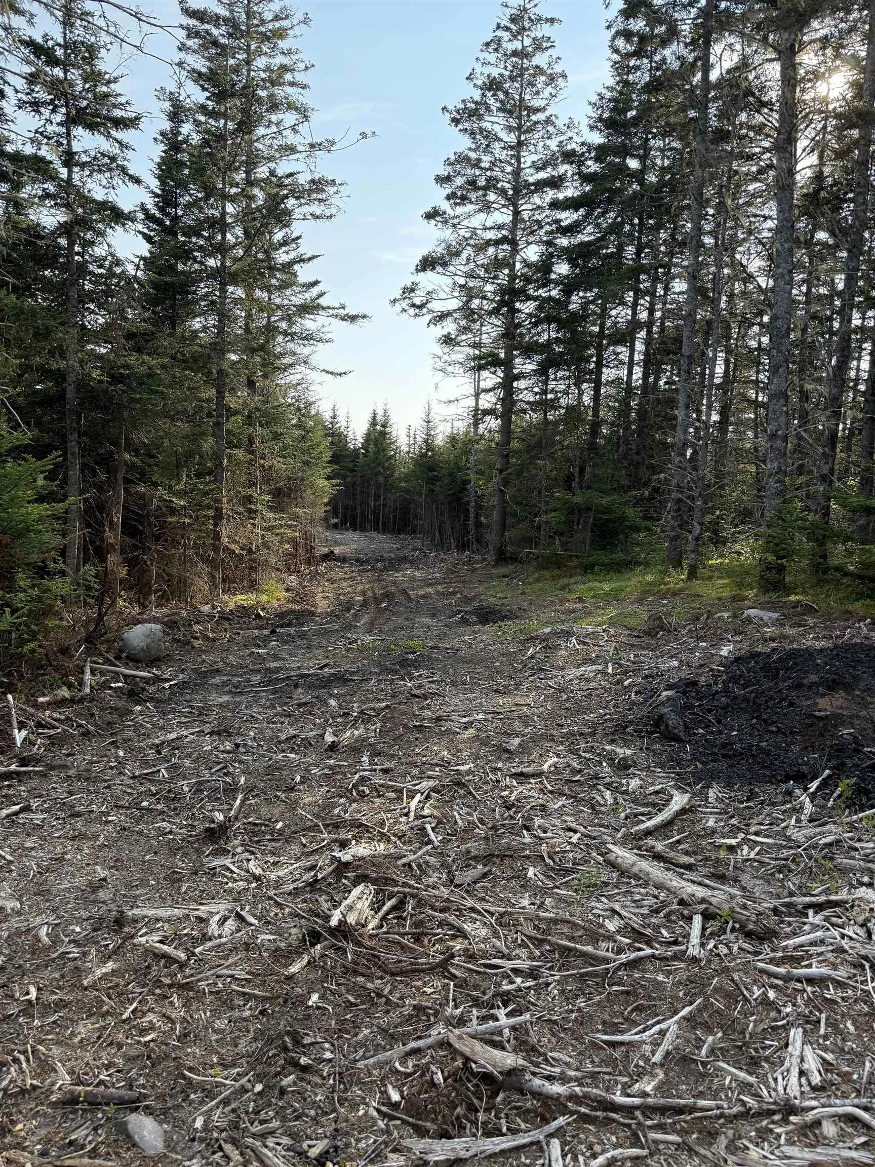 Lot East Sable, East Sable River, NS B0T 1V0, ,Land,For Sale,East Sable,202518658