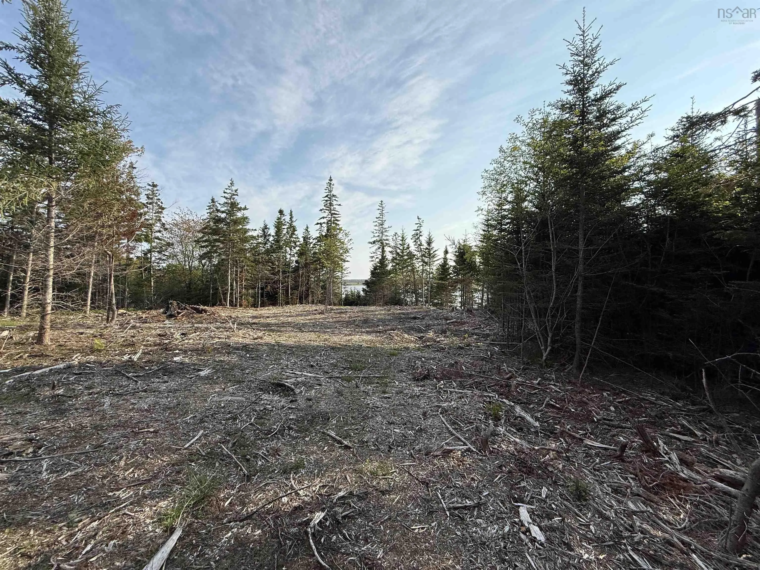 Lot East Sable, East Sable River, NS B0T 1V0, ,Land,For Sale,East Sable,202518658