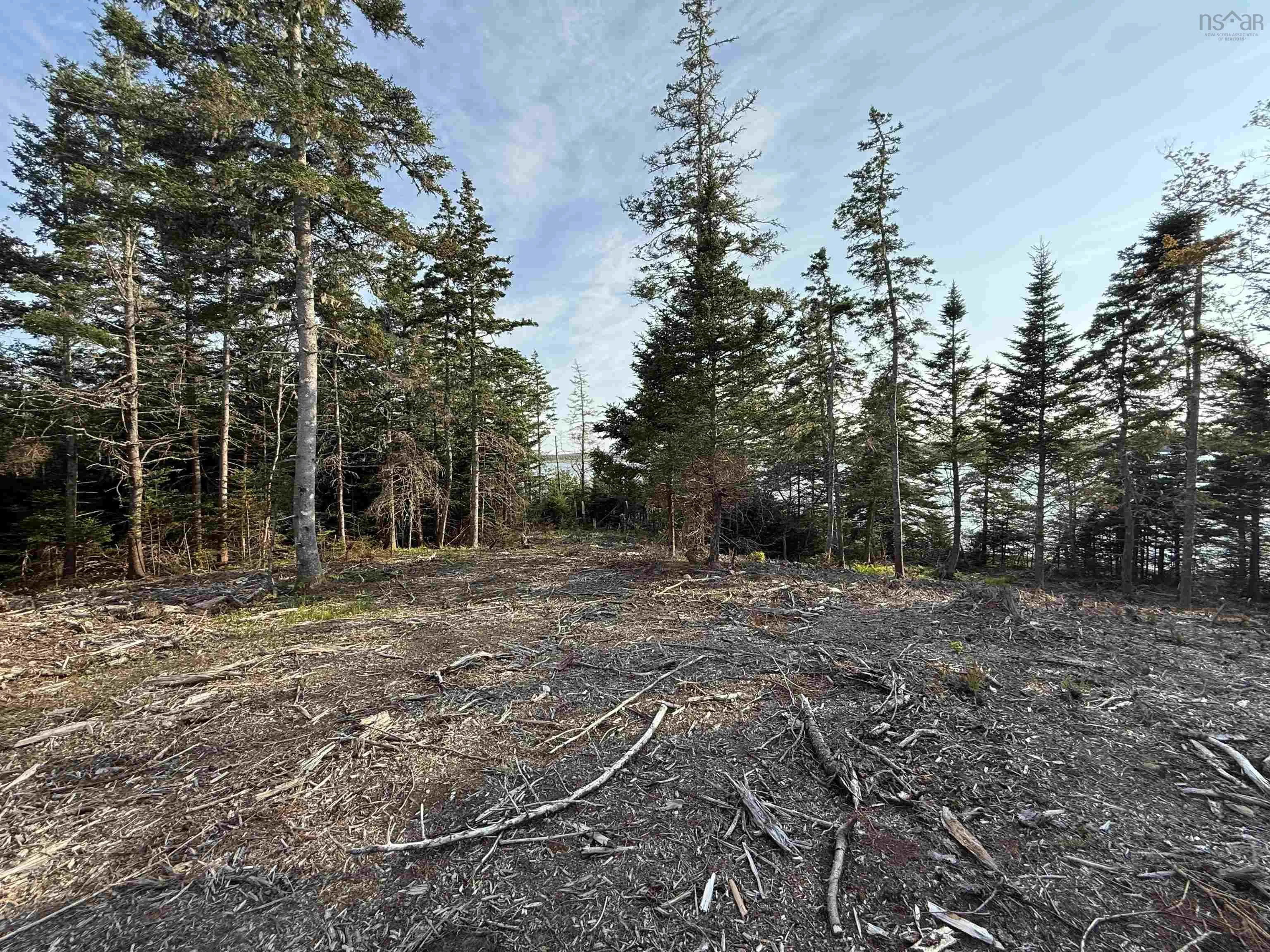 Lot East Sable, East Sable River, NS B0T 1V0, ,Land,For Sale,East Sable,202518658
