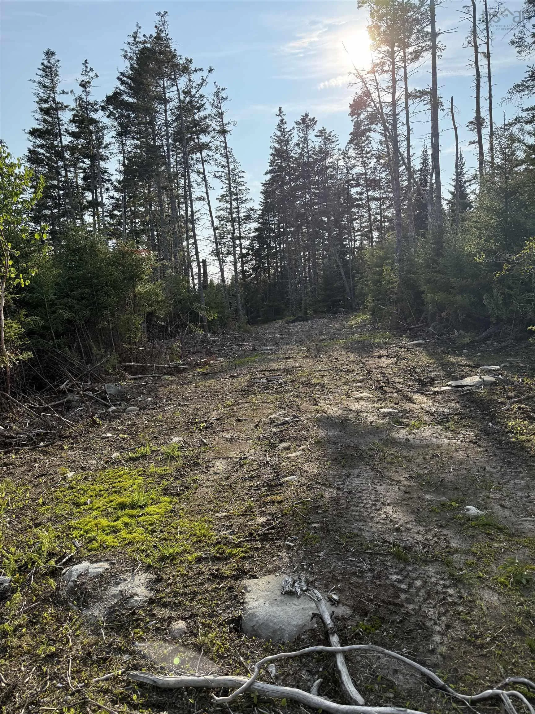 Lot East Sable, East Sable River, NS B0T 1V0, ,Land,For Sale,East Sable,202518658