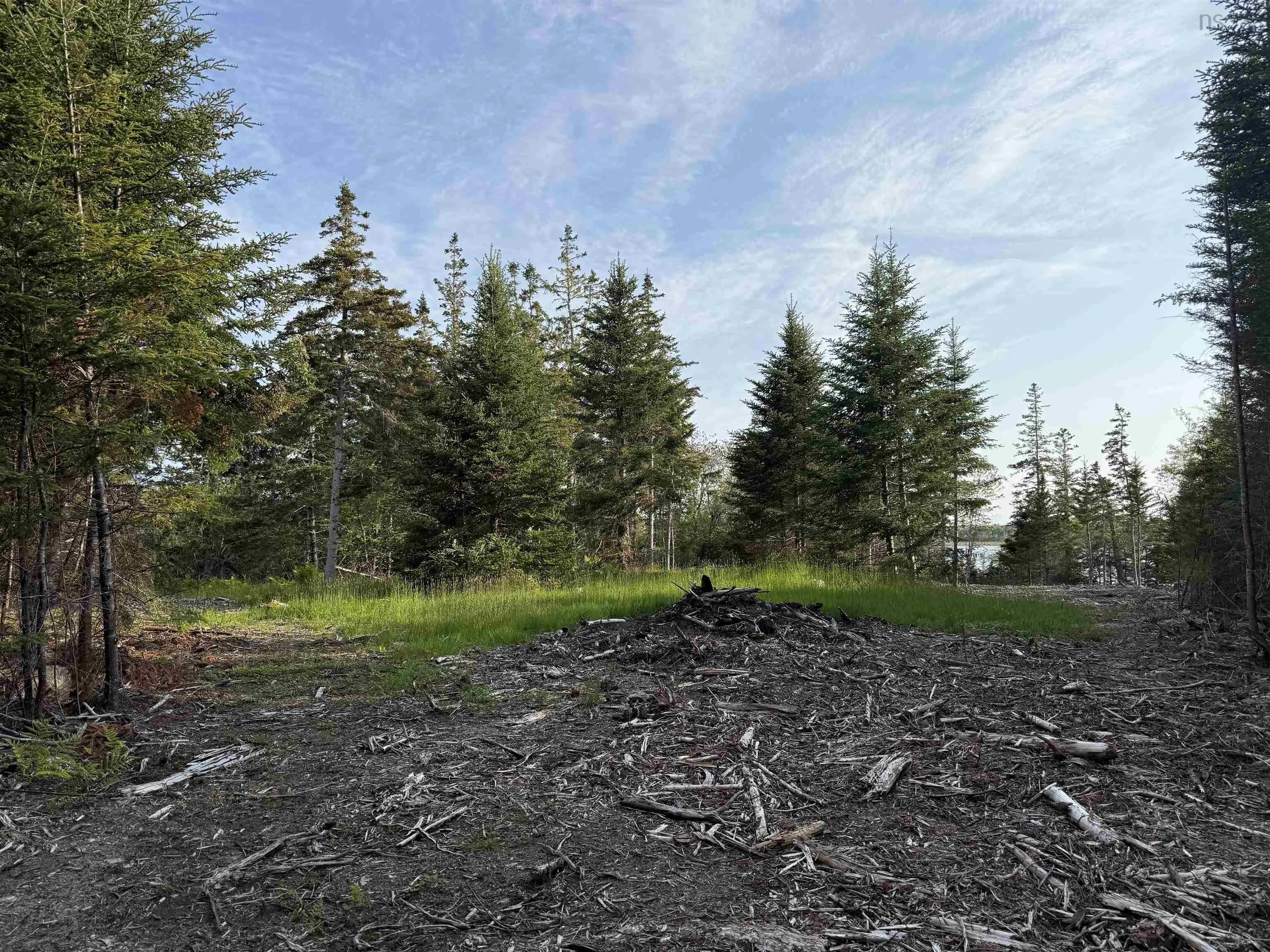 Lot East Sable, East Sable River, NS B0T 1V0, ,Land,For Sale,East Sable,202518658