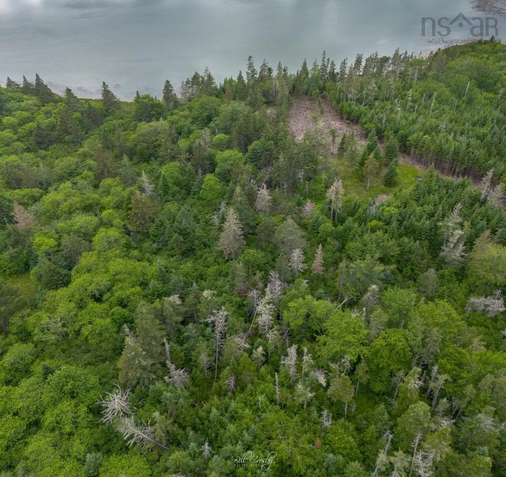 Lot East Sable, East Sable River, NS B0T 1V0, ,Land,For Sale,East Sable,202518658
