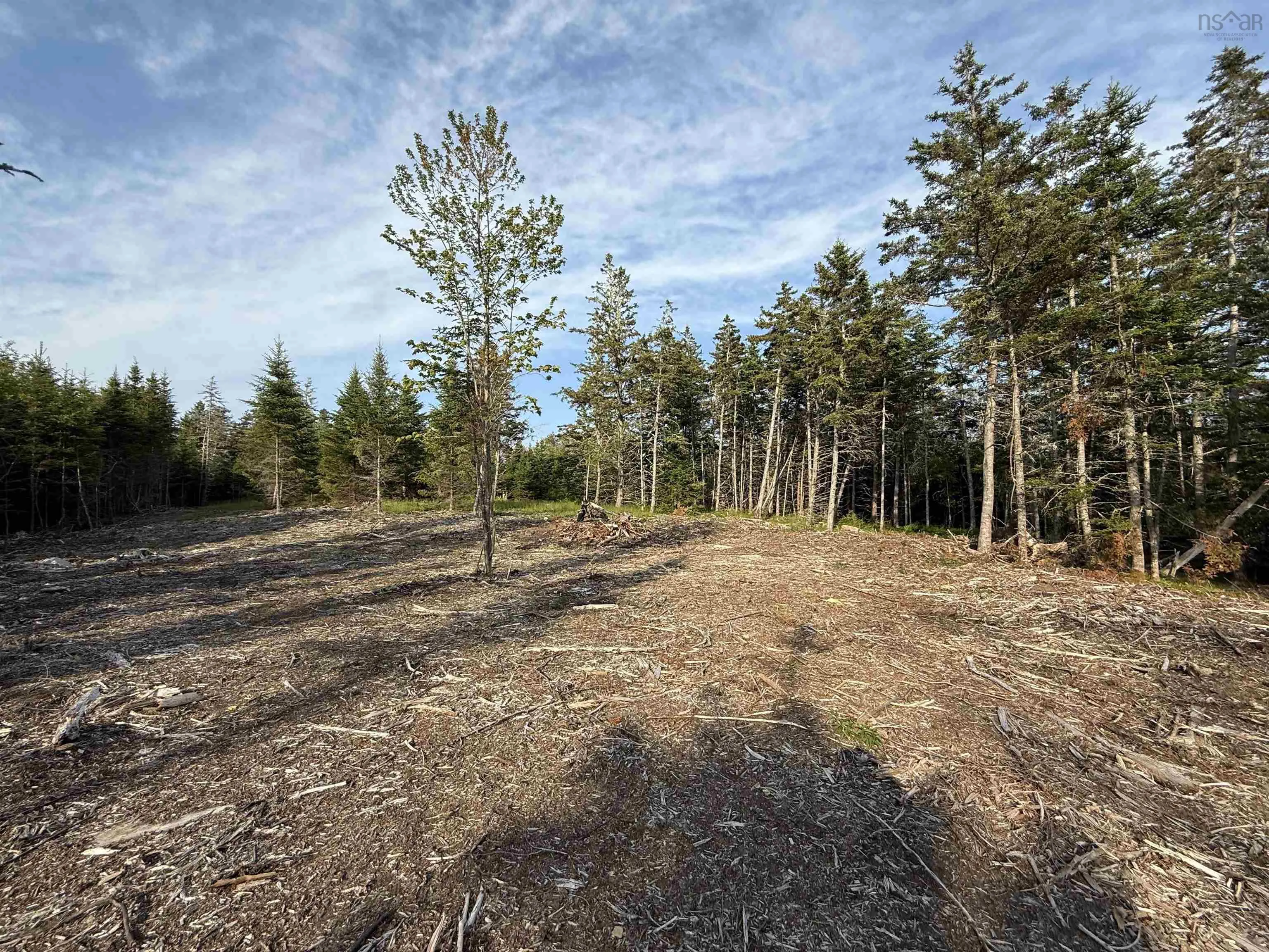 Lot East Sable, East Sable River, NS B0T 1V0, ,Land,For Sale,East Sable,202518658