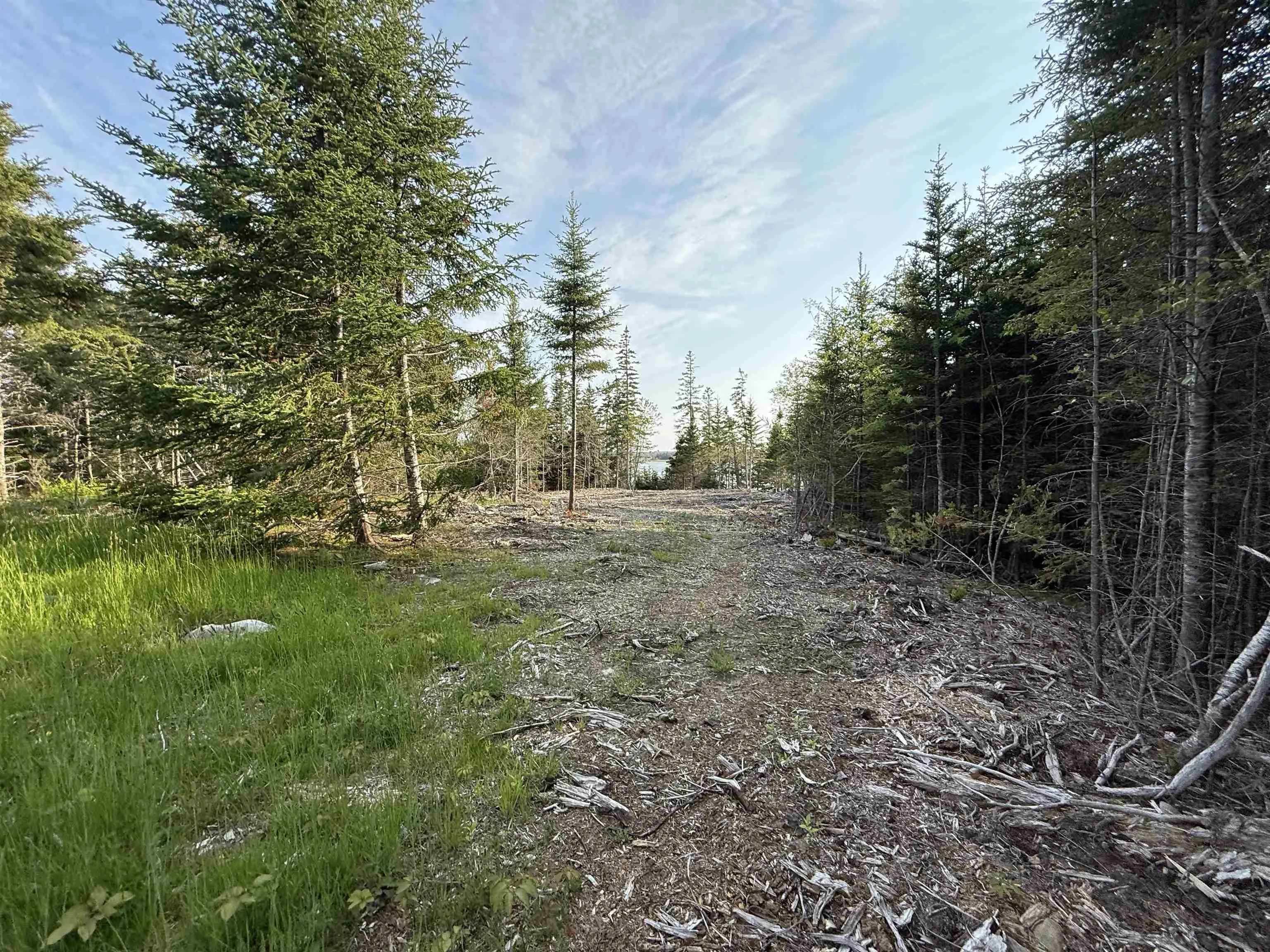 Lot East Sable, East Sable River, NS B0T 1V0, ,Land,For Sale,East Sable,202518658
