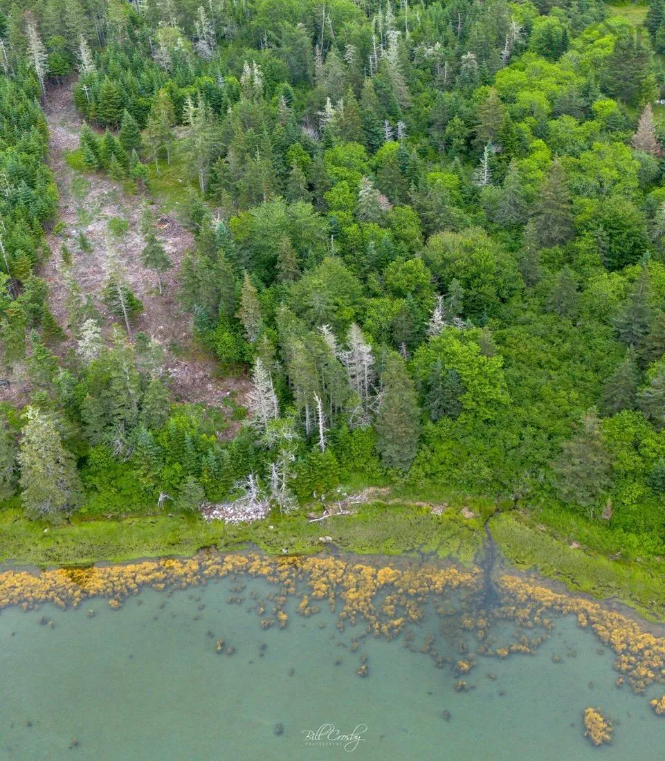 Lot East Sable, East Sable River, NS B0T 1V0, ,Land,For Sale,East Sable,202518658