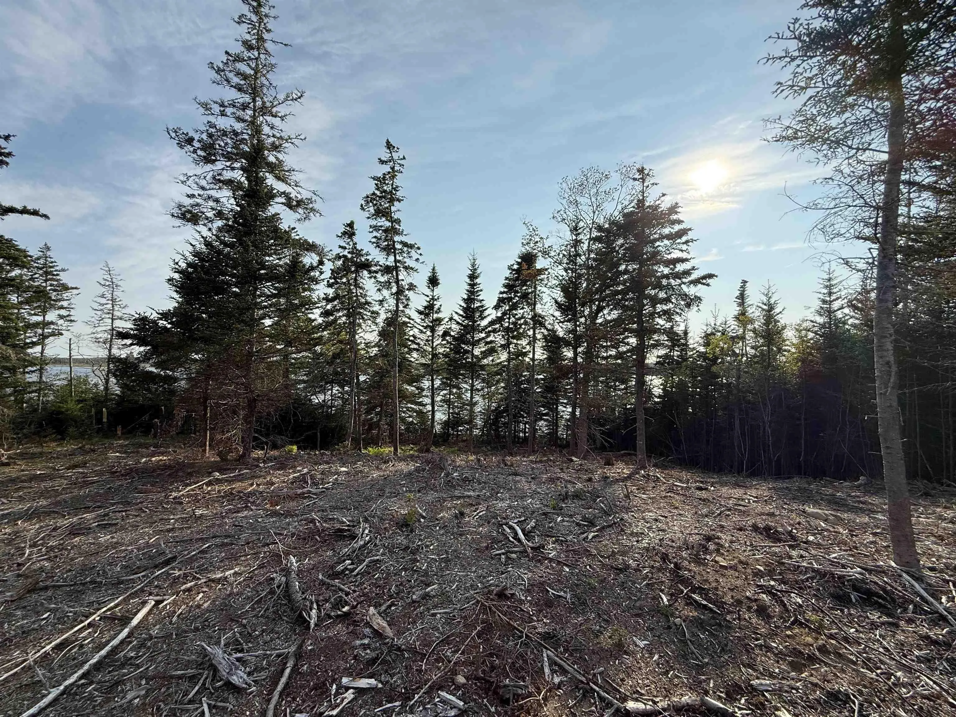 Lot East Sable, East Sable River, NS B0T 1V0, ,Land,For Sale,East Sable,202518658