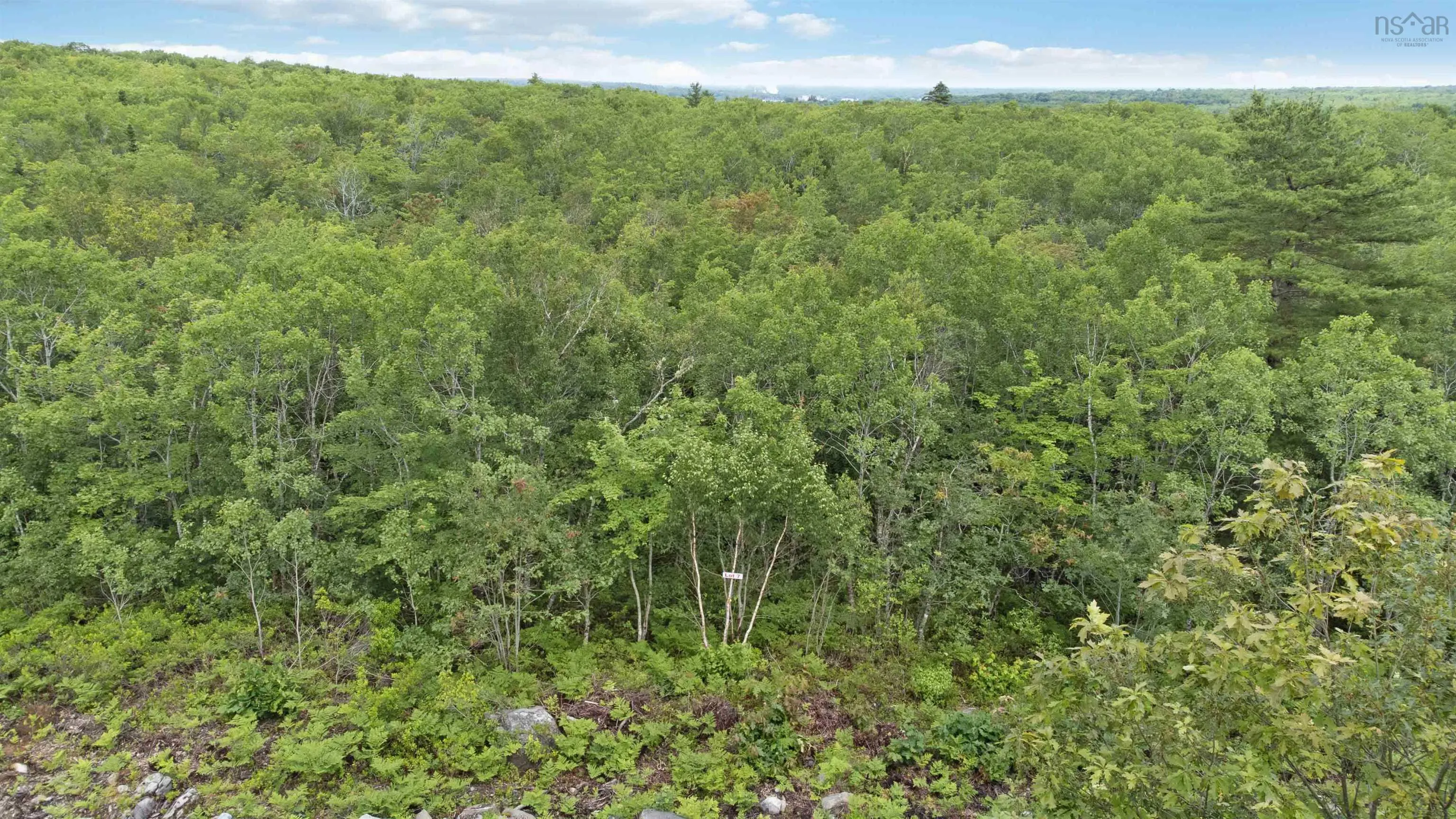 Maple Ridge Drive Lot 7, White Point, NS B0T 1K0, ,Land,For Sale,Maple Ridge,202521913