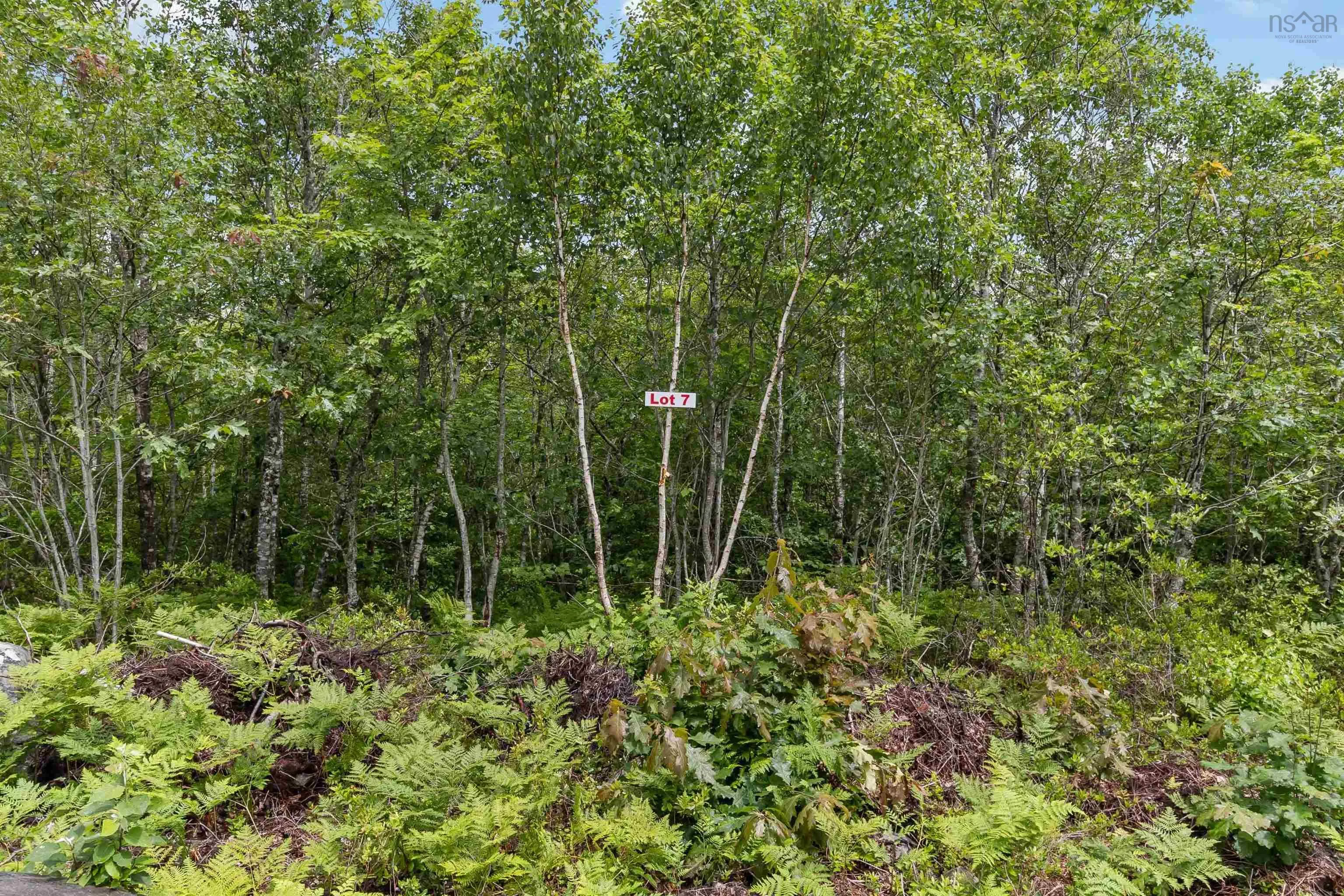 Maple Ridge Drive Lot 7, White Point, NS B0T 1K0, ,Land,For Sale,Maple Ridge,202521913