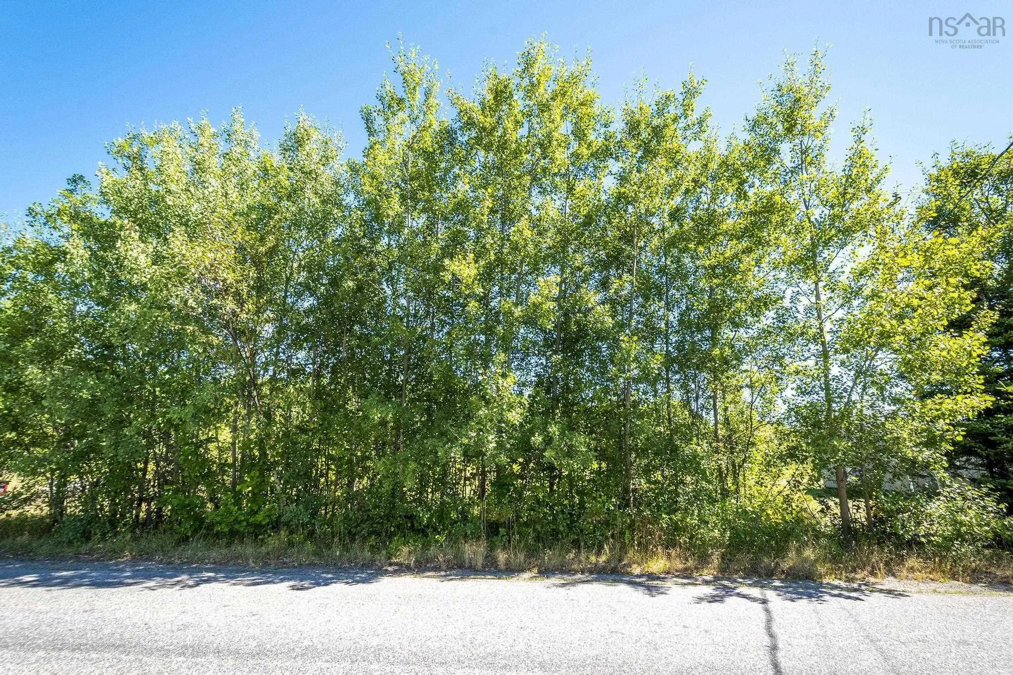 12-a Pleasant Street, Conway, NS B0V 1A0, ,Land,For Sale,Pleasant,202521244