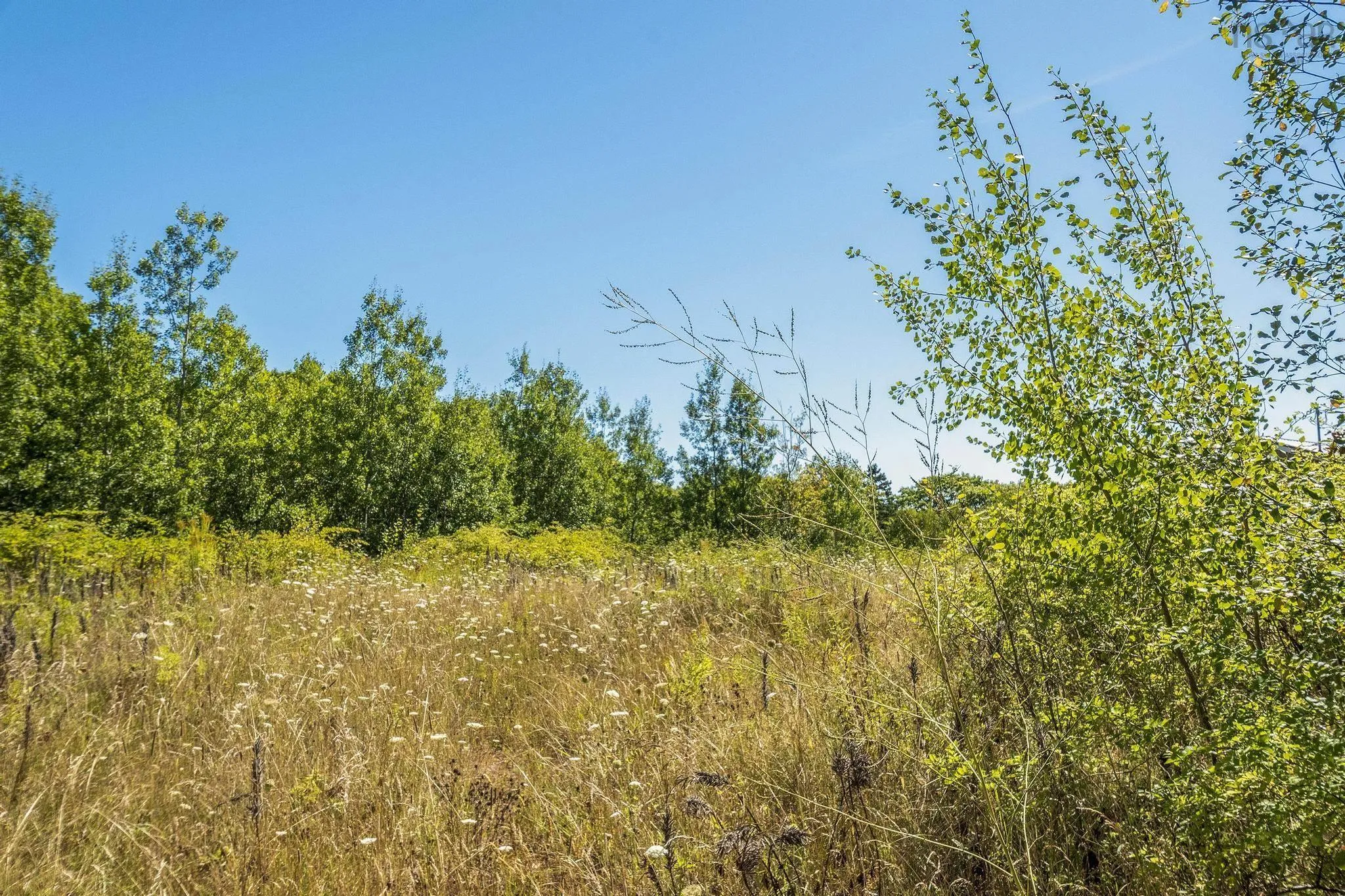 12-a Pleasant Street, Conway, NS B0V 1A0, ,Land,For Sale,Pleasant,202521244