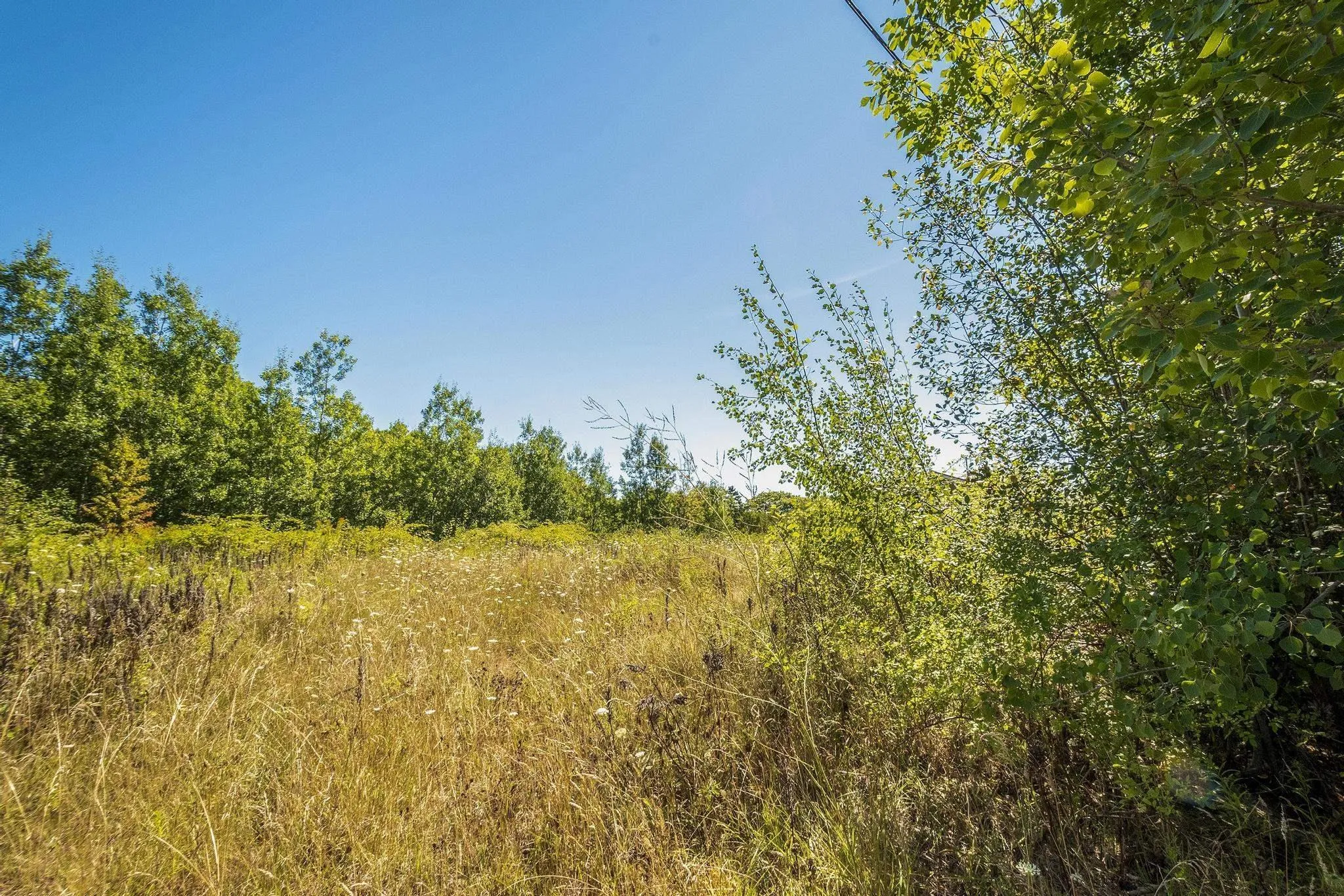 12-a Pleasant Street, Conway, NS B0V 1A0, ,Land,For Sale,Pleasant,202521244