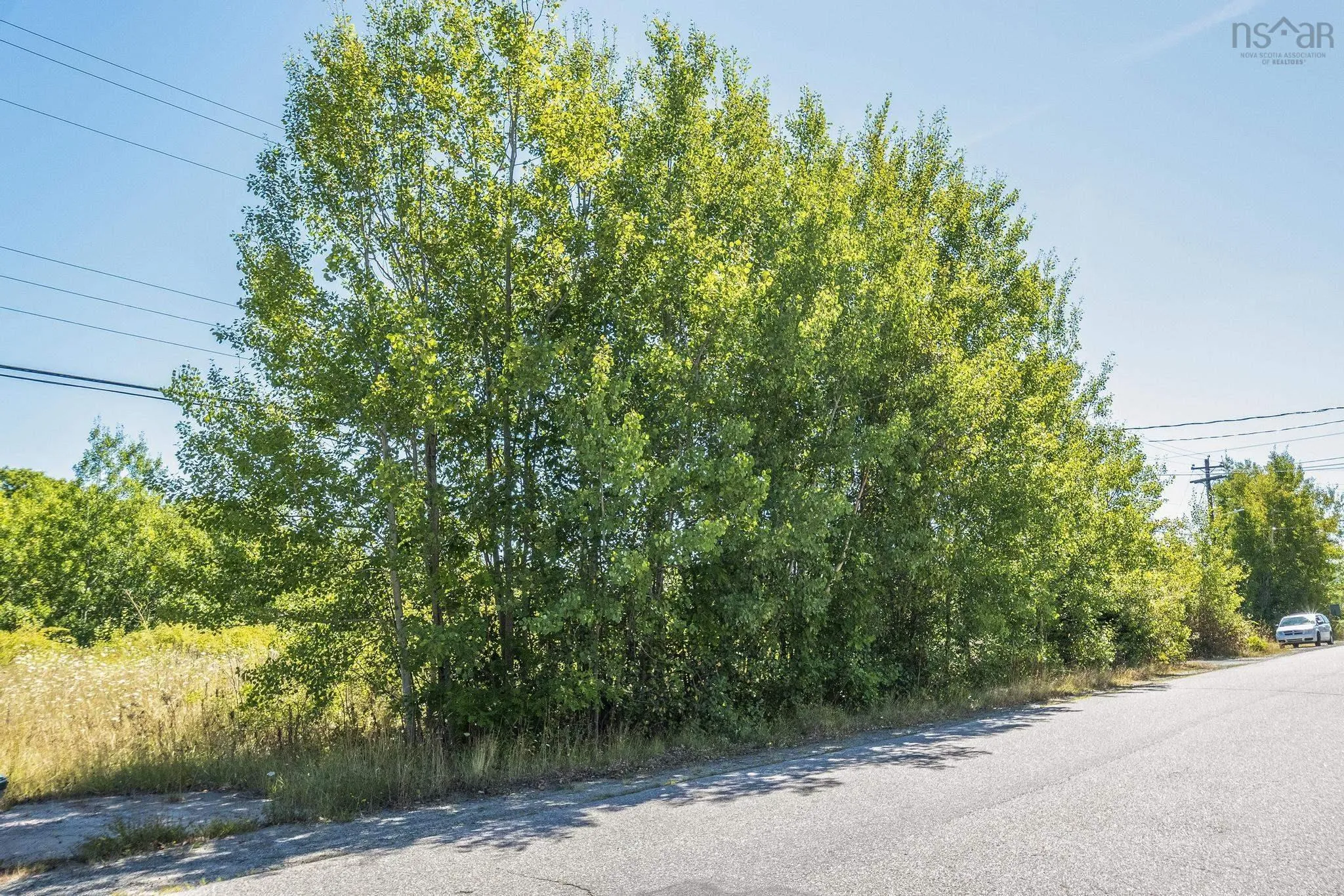 12-a Pleasant Street, Conway, NS B0V 1A0, ,Land,For Sale,Pleasant,202521244