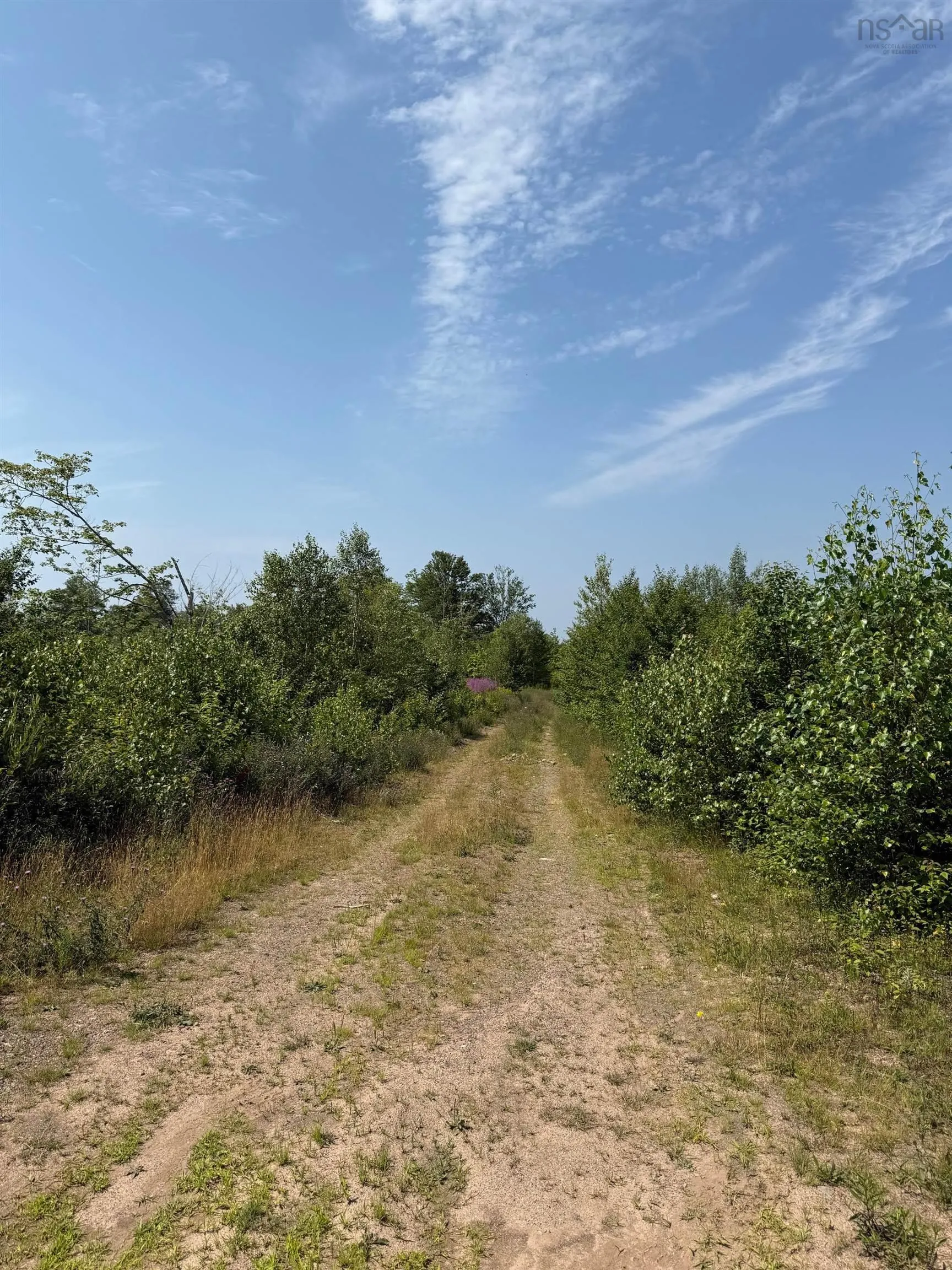 Lot 1 Highway 104 Highway, Kemptown, NS B2N 5B1, ,Land,For Sale,Highway 104,202515334