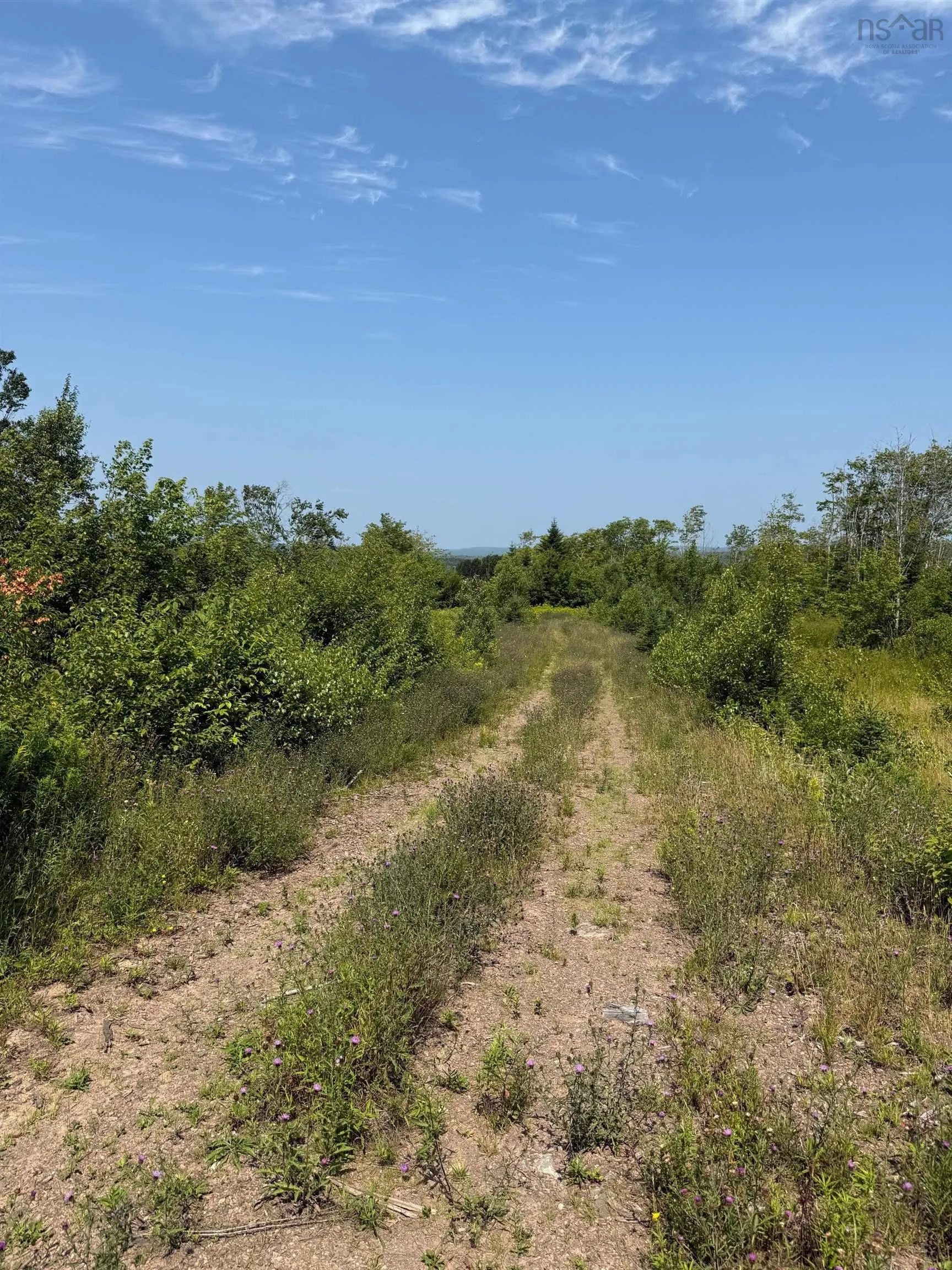 Lot 1 Highway 104 Highway, Kemptown, NS B2N 5B1, ,Land,For Sale,Highway 104,202515334