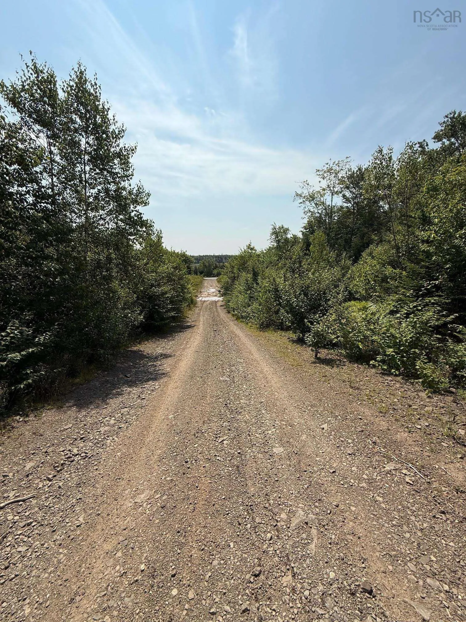 Lot 1 Highway 104 Highway, Kemptown, NS B2N 5B1, ,Land,For Sale,Highway 104,202515334