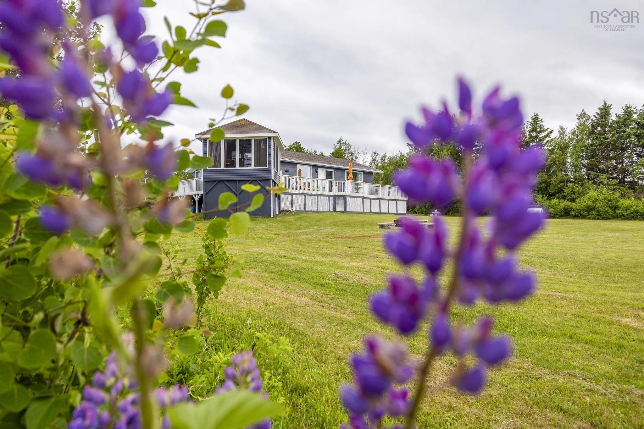 7 Davies Road Branch, Malagash Mine, NS B0K 1E0, 3 Bedrooms Bedrooms, ,1 BathroomBathrooms,Residential,For Sale,Davies Road Branch,202515360