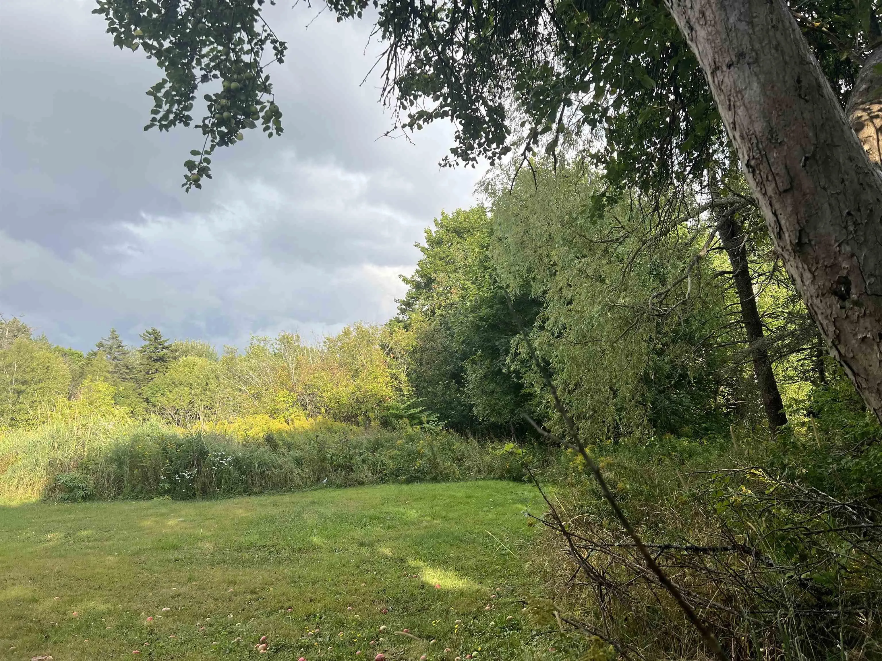 24-2 Truro Heights Road, Truro, NS B6L 1X5, ,Land,For Sale,Truro Heights,202521662