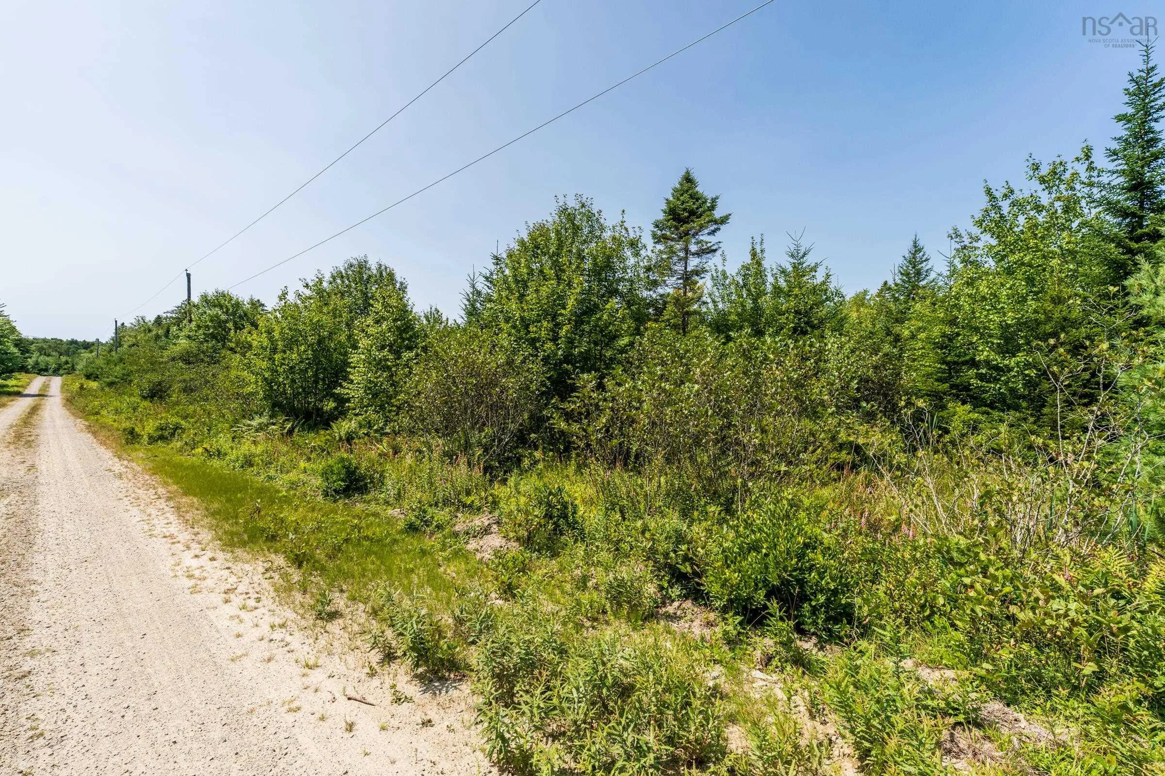 Maple Leaf Drive, East Canaan, NS B0W 3M0, ,Land,For Sale,Maple Leaf,202521133