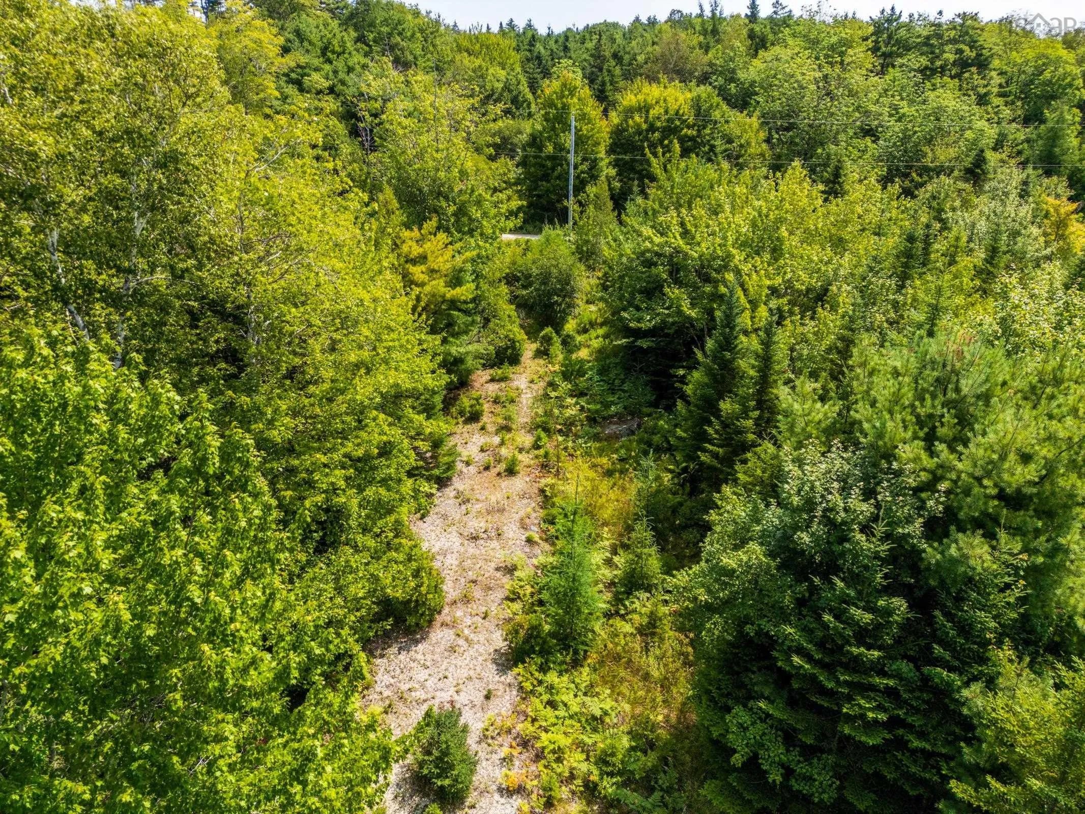 Maple Leaf Drive, East Canaan, NS B0W 3M0, ,Land,For Sale,Maple Leaf,202521133