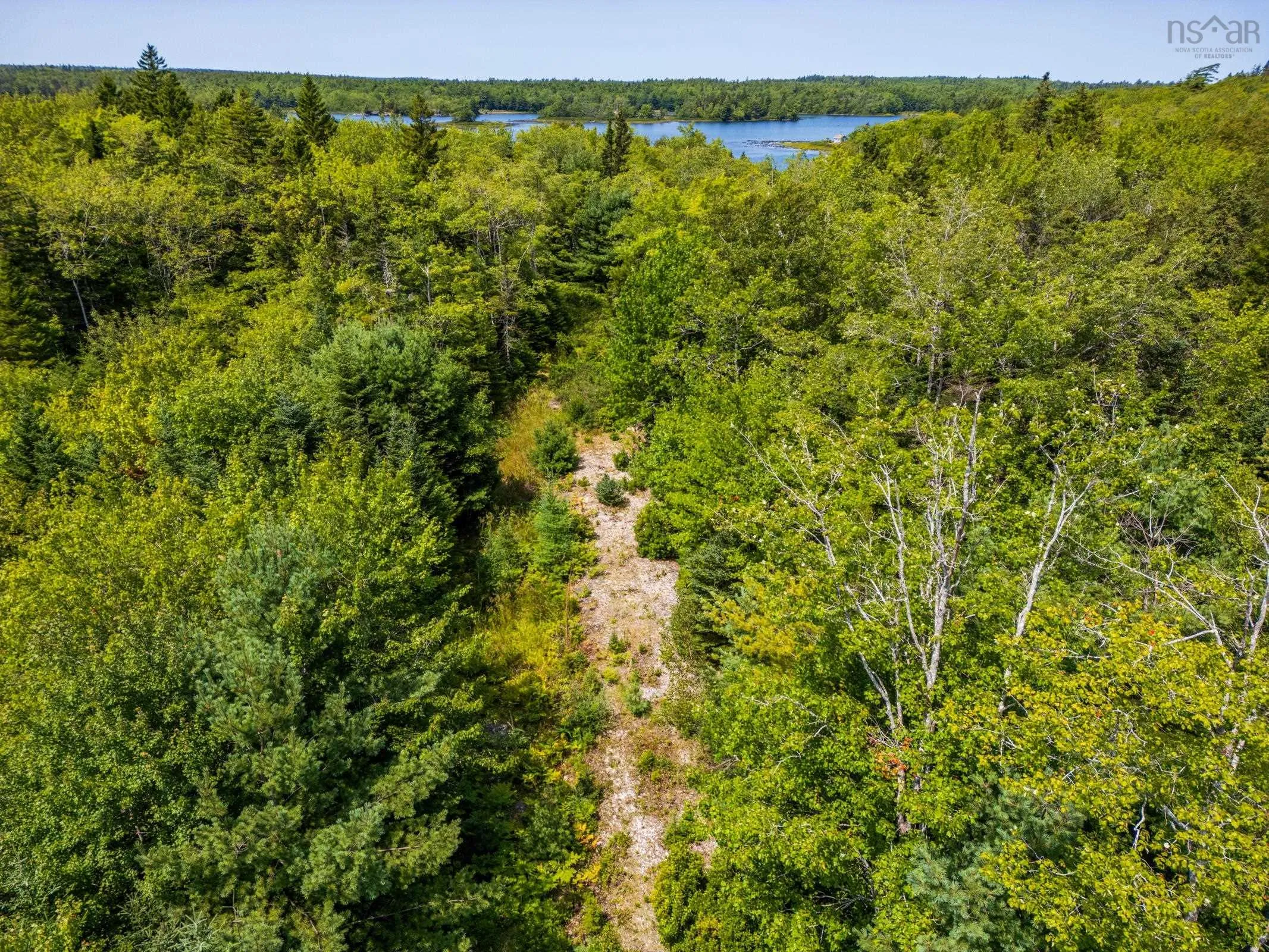 Maple Leaf Drive, East Canaan, NS B0W 3M0, ,Land,For Sale,Maple Leaf,202521133