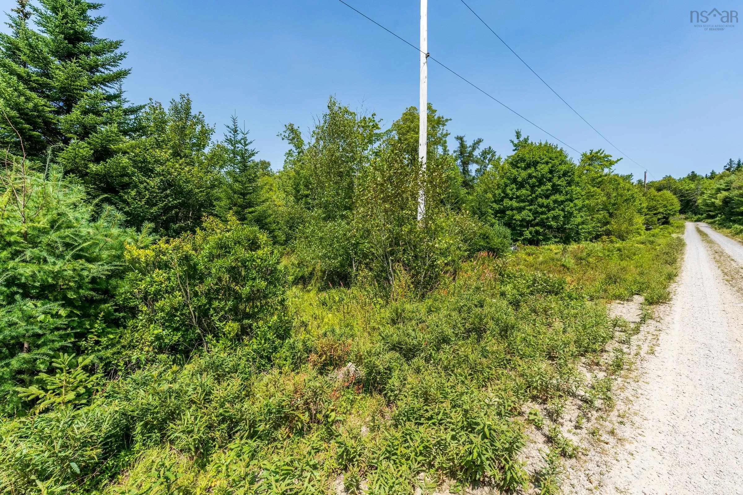 Maple Leaf Drive, East Canaan, NS B0W 3M0, ,Land,For Sale,Maple Leaf,202521133