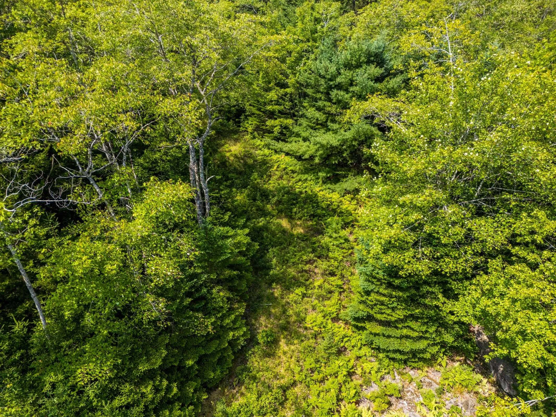 Maple Leaf Drive, East Canaan, NS B0W 3M0, ,Land,For Sale,Maple Leaf,202521133
