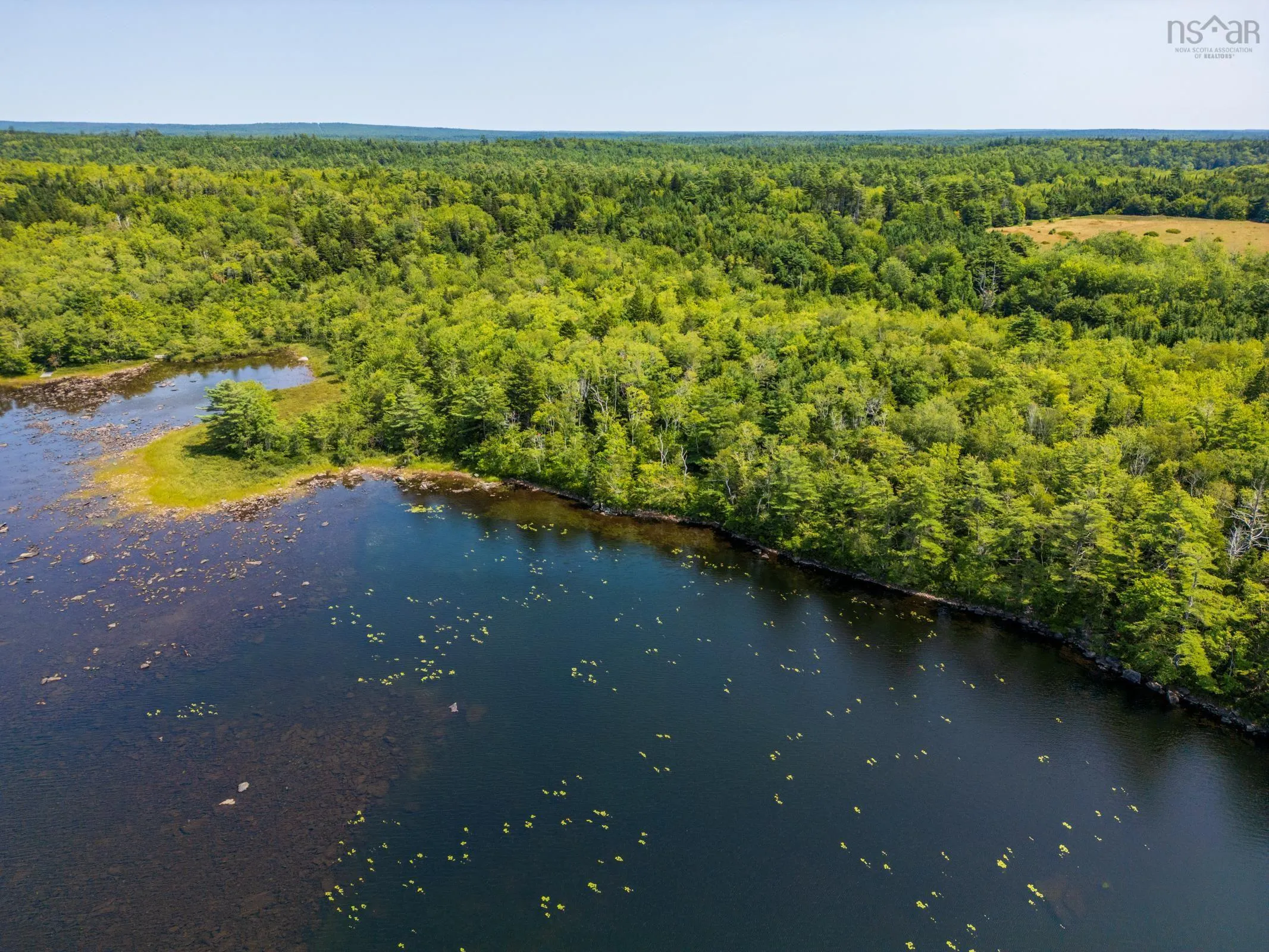 Maple Leaf Drive, East Canaan, NS B0W 3M0, ,Land,For Sale,Maple Leaf,202521133