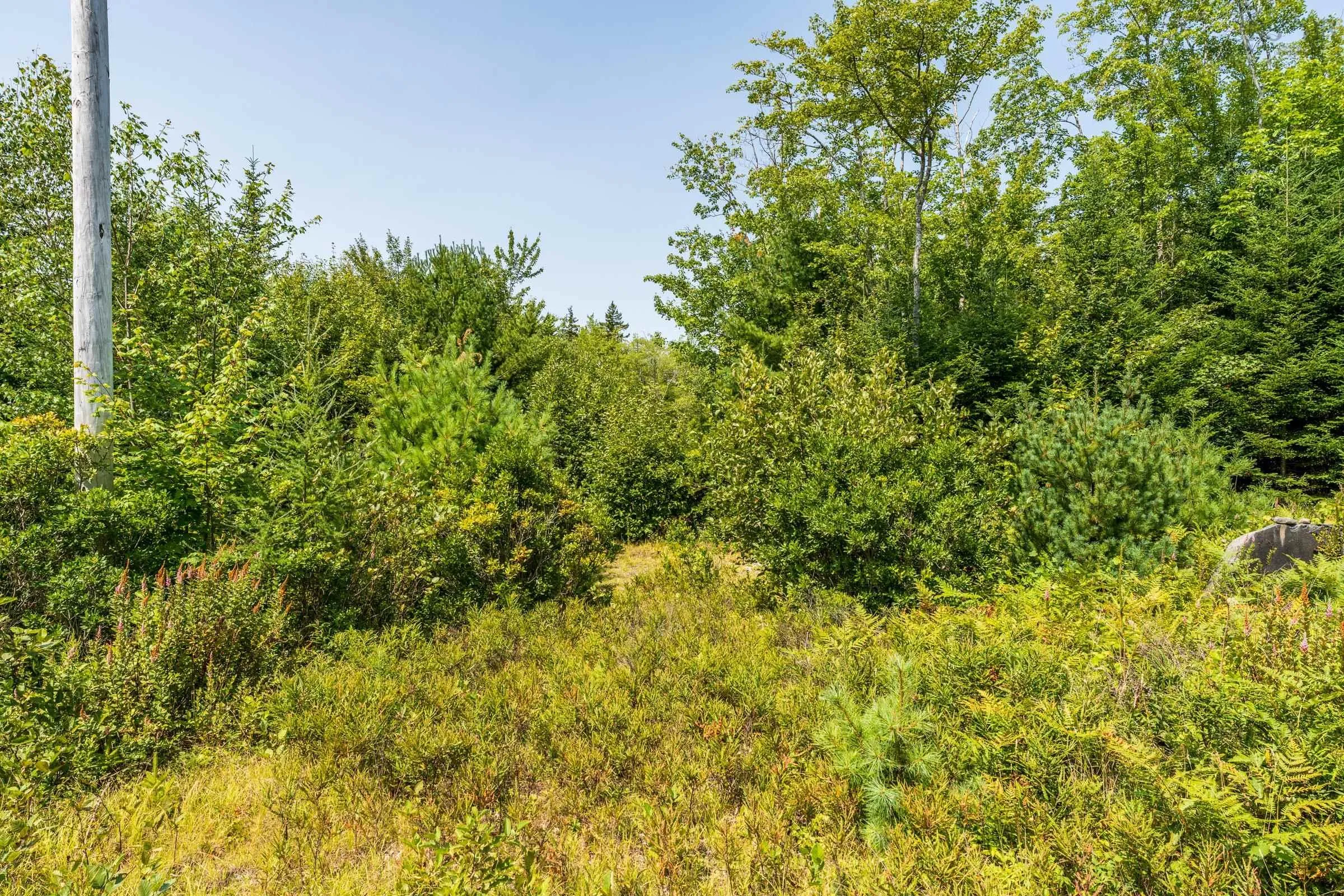Maple Leaf Drive, East Canaan, NS B0W 3M0, ,Land,For Sale,Maple Leaf,202521133