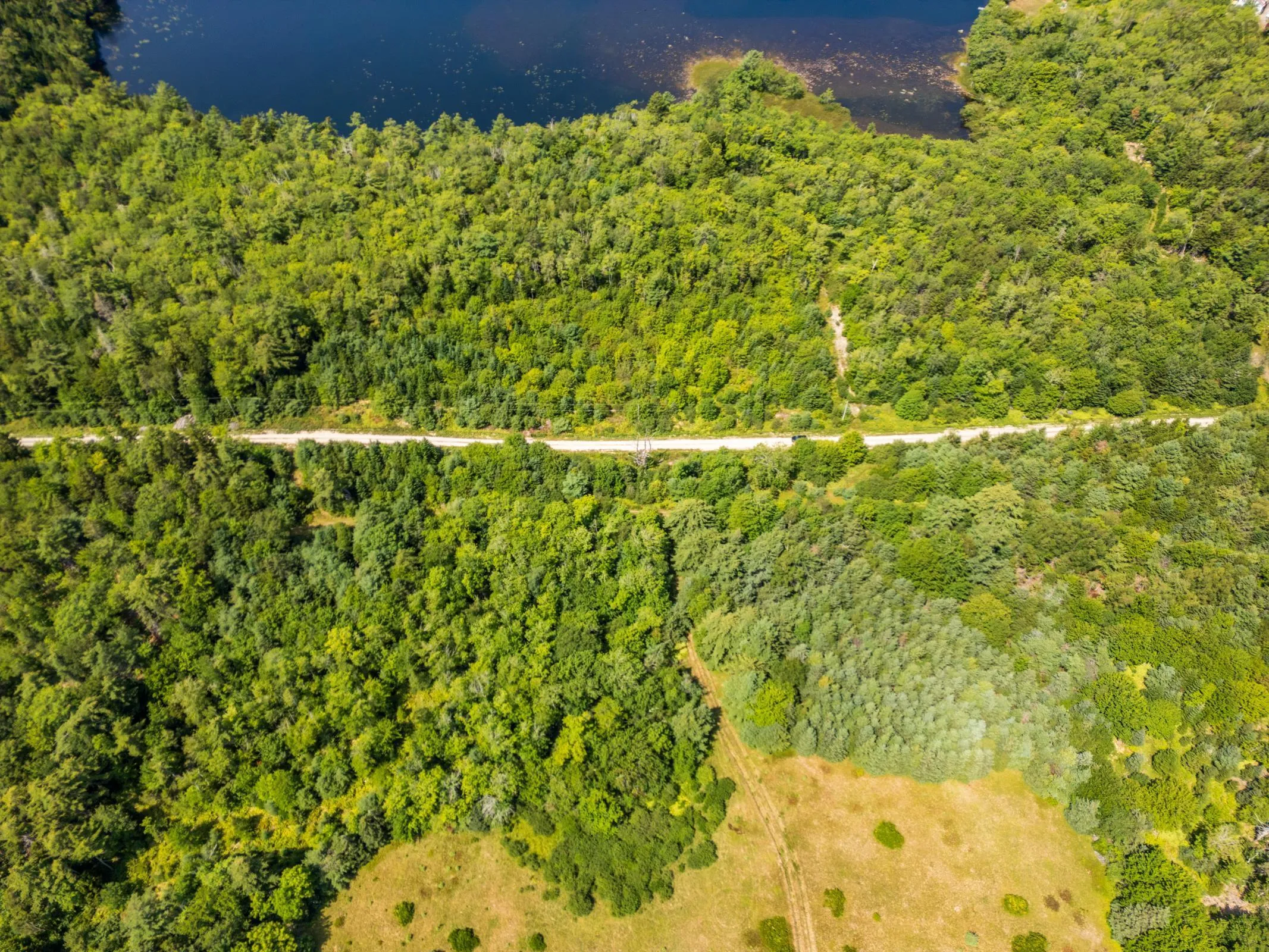 Maple Leaf Drive, East Canaan, NS B0W 3M0, ,Land,For Sale,Maple Leaf,202521133