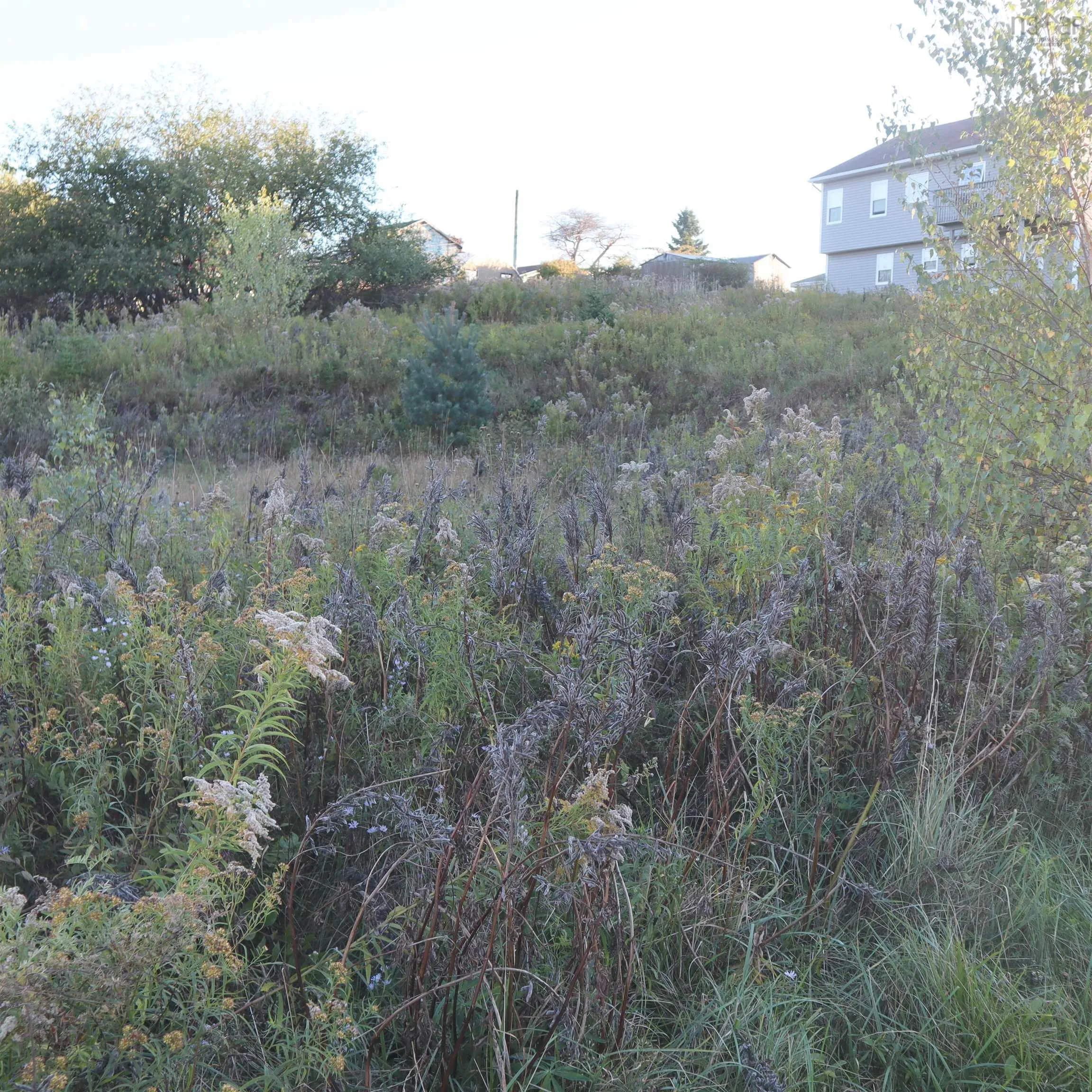 44 Poonam Court Lot 314, Dartmouth, NS B2W 6E8, ,Land,For Sale,Poonam,202524693