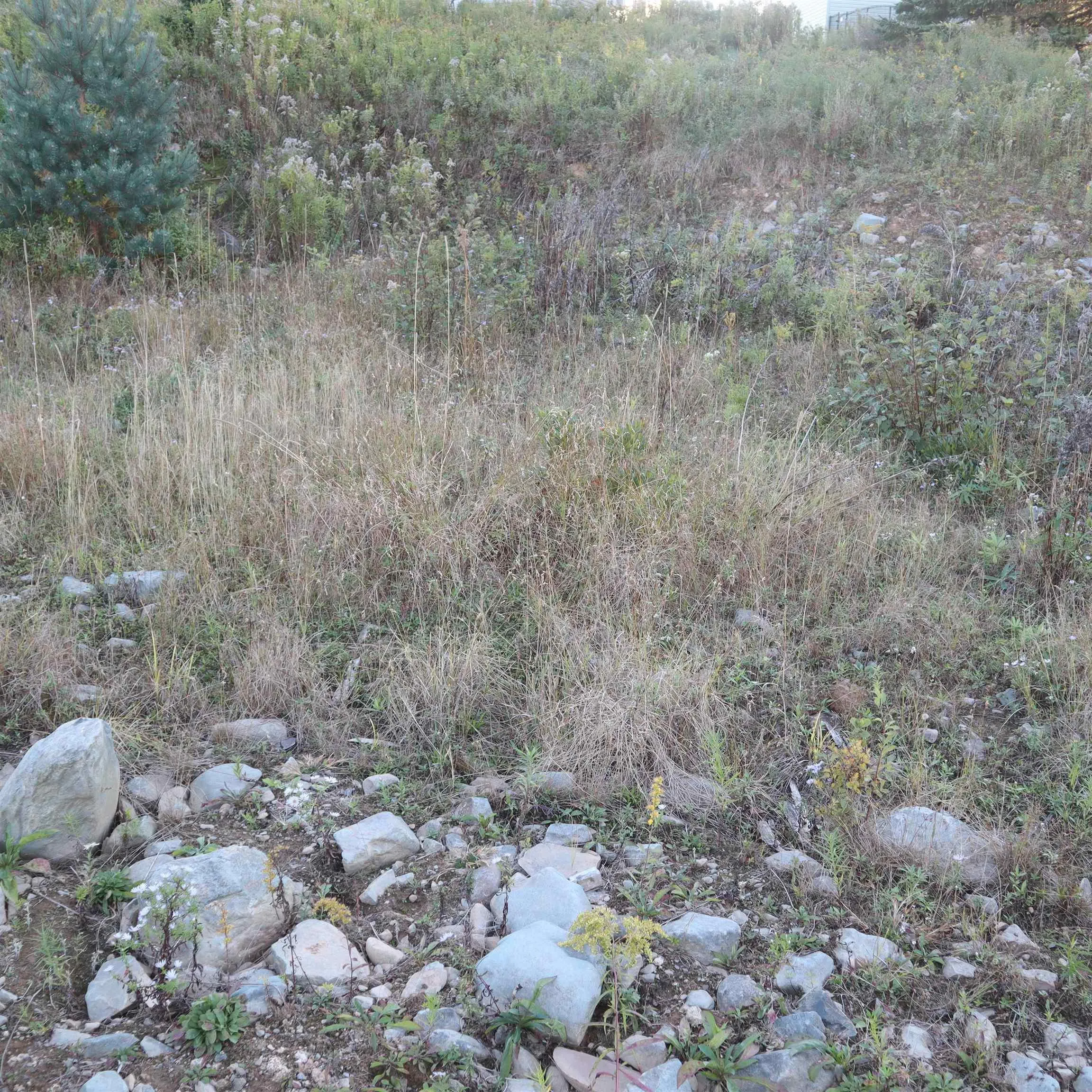 44 Poonam Court Lot 314, Dartmouth, NS B2W 6E8, ,Land,For Sale,Poonam,202524693
