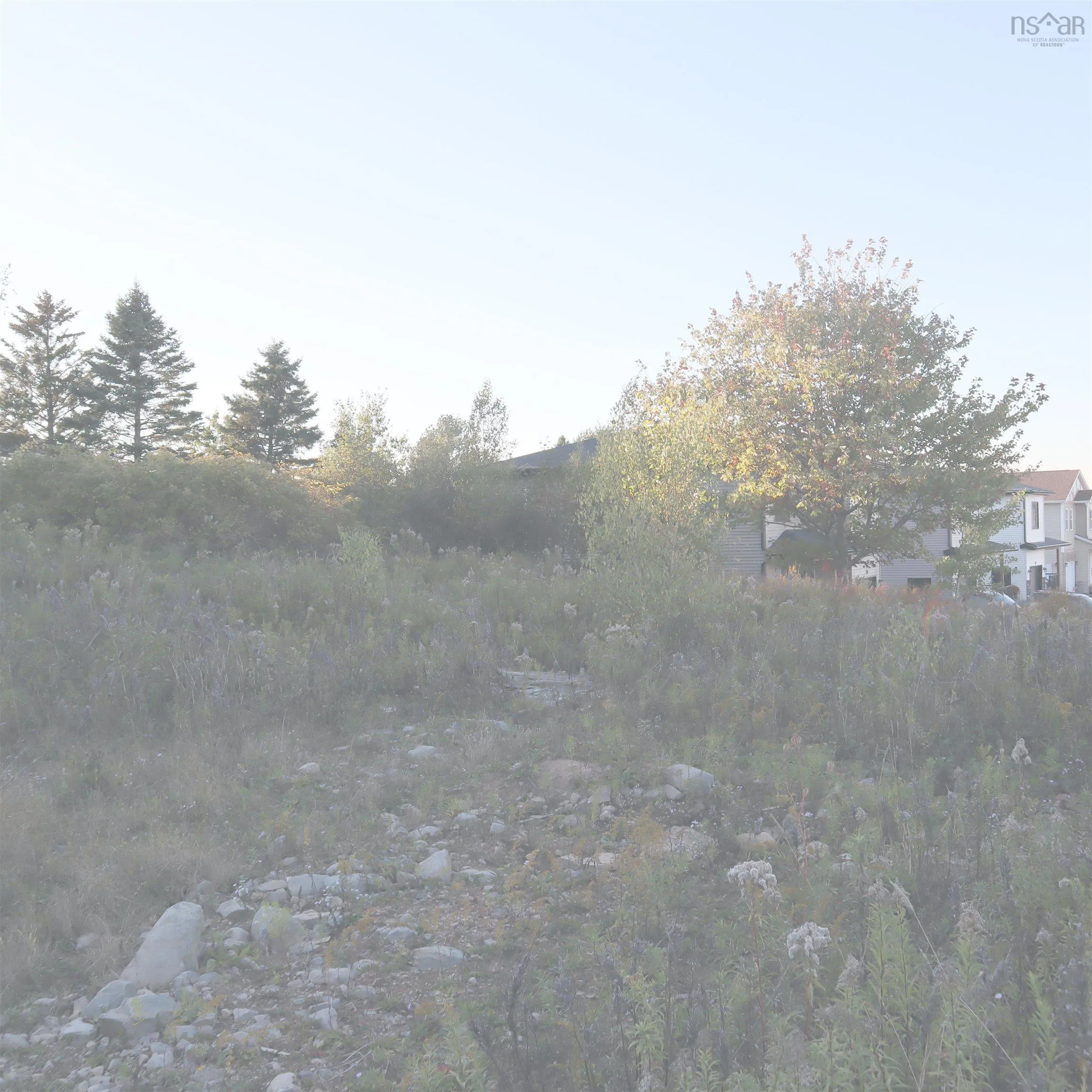 44 Poonam Court Lot 314, Dartmouth, NS B2W 6E8, ,Land,For Sale,Poonam,202524693