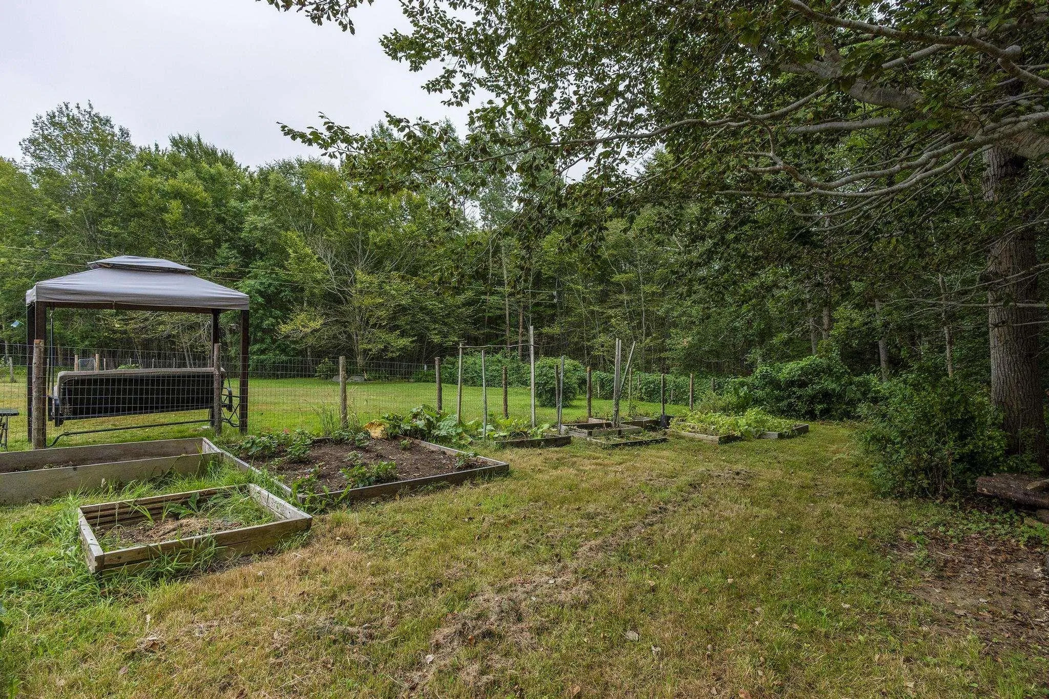 2282 Patrice Road Road, Concession, NS B0W 1M0, 3 Bedrooms Bedrooms, ,1 BathroomBathrooms,Residential,For Sale,Patrice Road,202519125