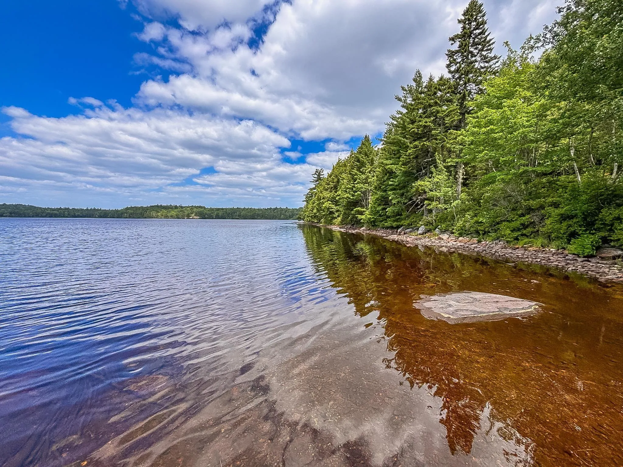 52 Jefferson Road, Laconia, NS B4V 5W5, 3 Bedrooms Bedrooms, ,2 BathroomsBathrooms,Residential,For Sale,Jefferson,202518888