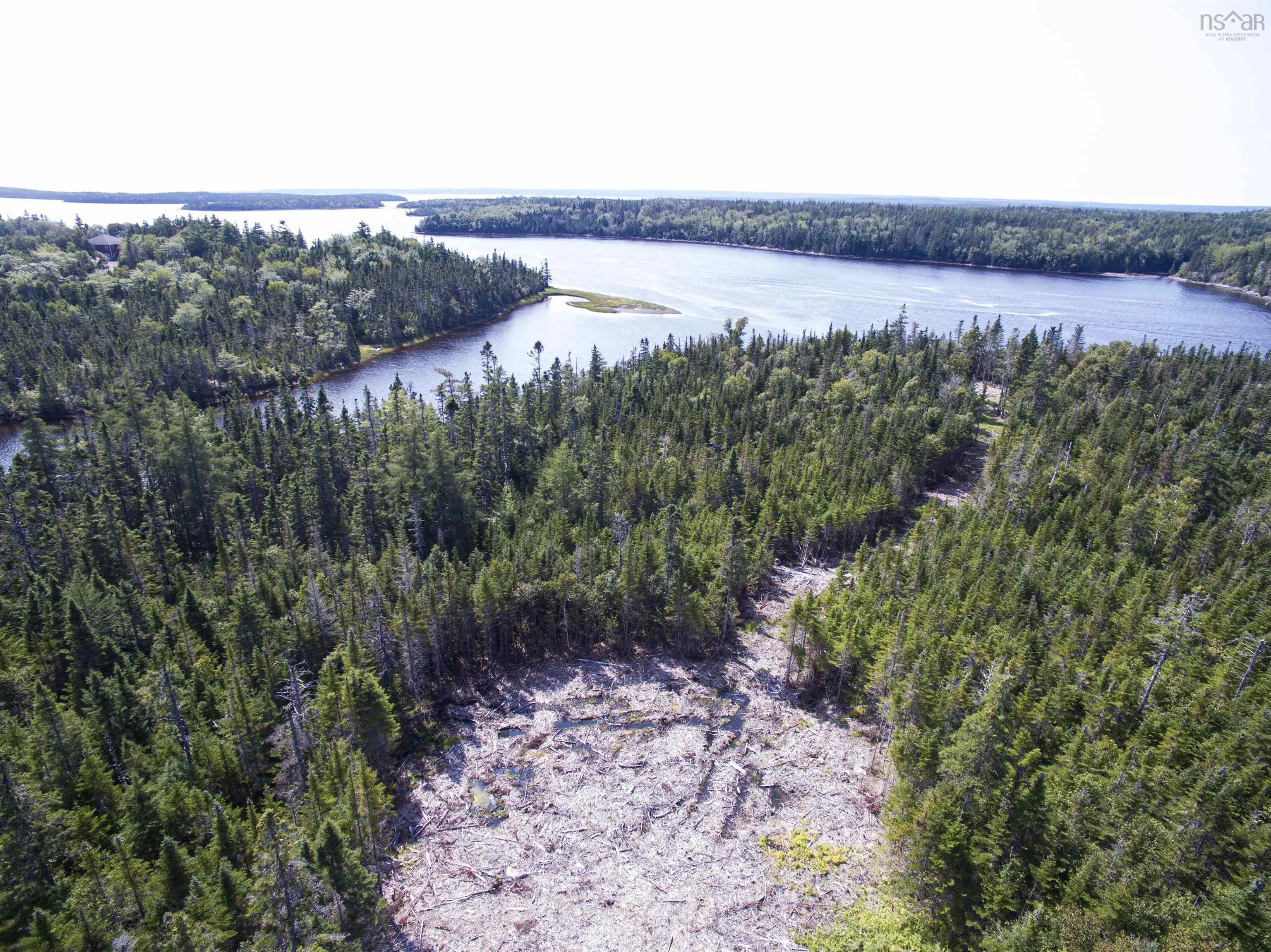 81 Orion Crescent, Walkerville, NS B0E 1J0, ,Land,For Sale,Orion,202522626