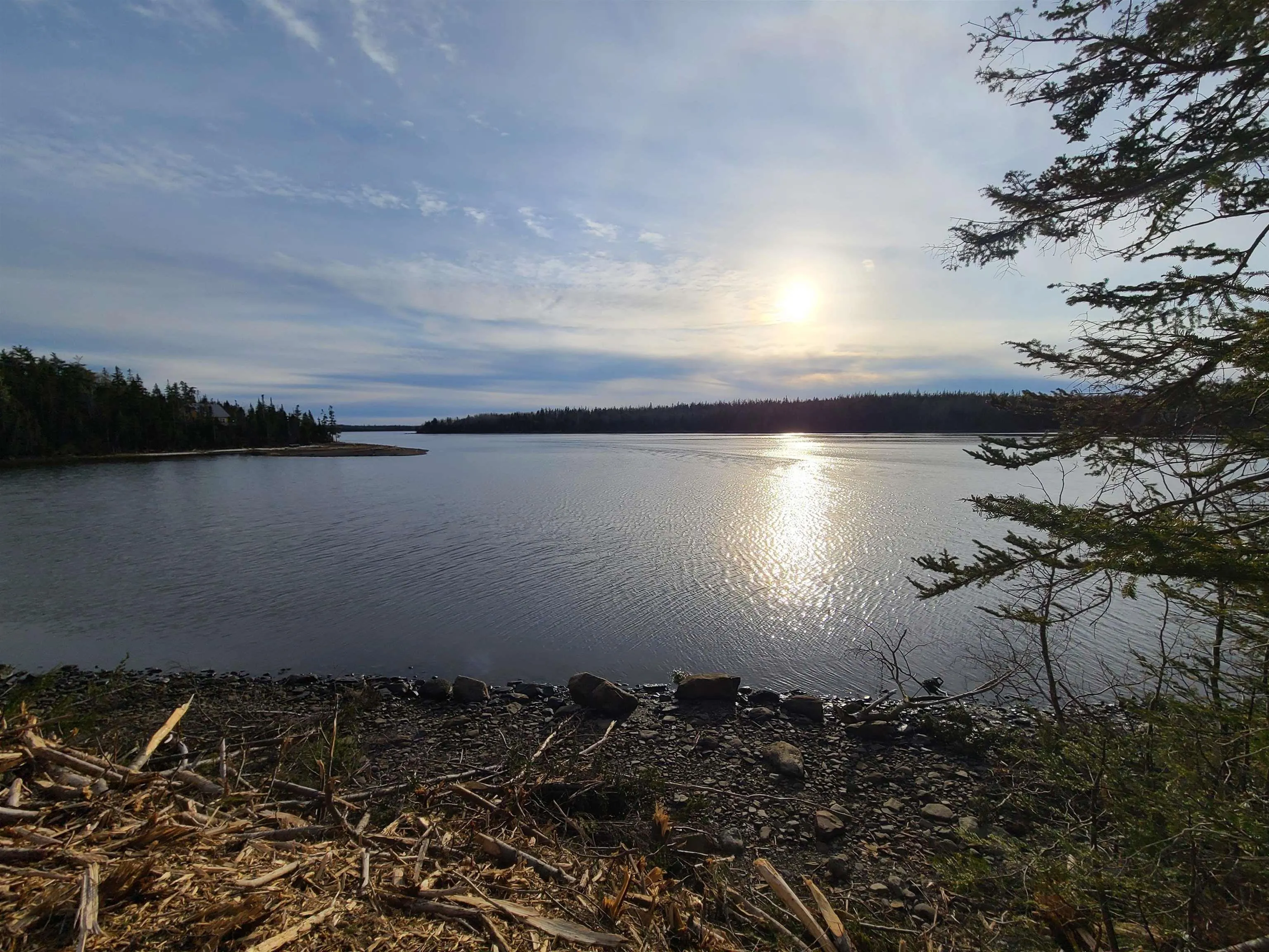 81 Orion Crescent, Walkerville, NS B0E 1J0, ,Land,For Sale,Orion,202522626