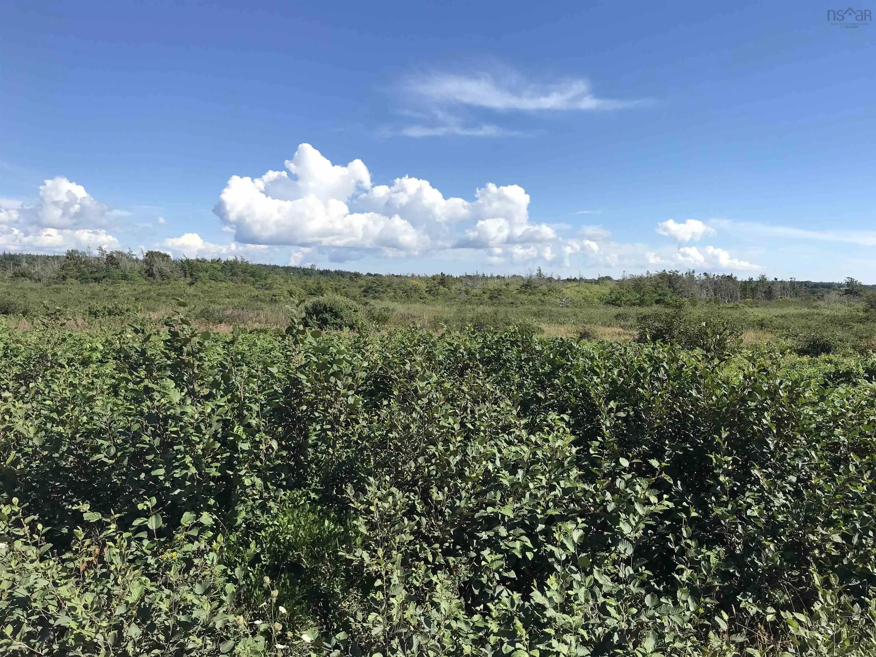 No 1 Highway, Meteghan Centre Ns B0w 2l0, ,Land,For Sale,No 1 Highway,202124755