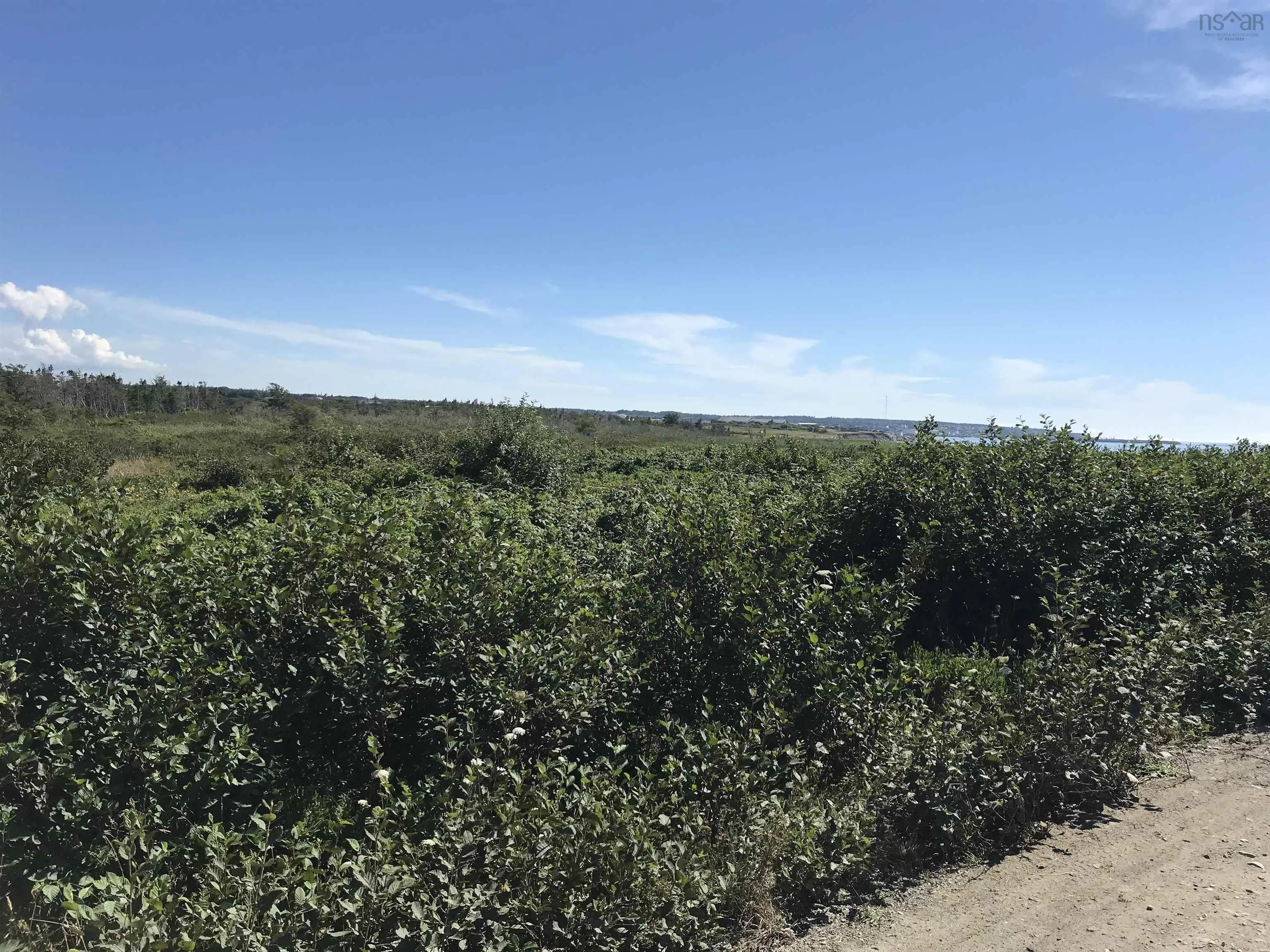 No 1 Highway, Meteghan Centre Ns B0w 2l0, ,Land,For Sale,No 1 Highway,202124755