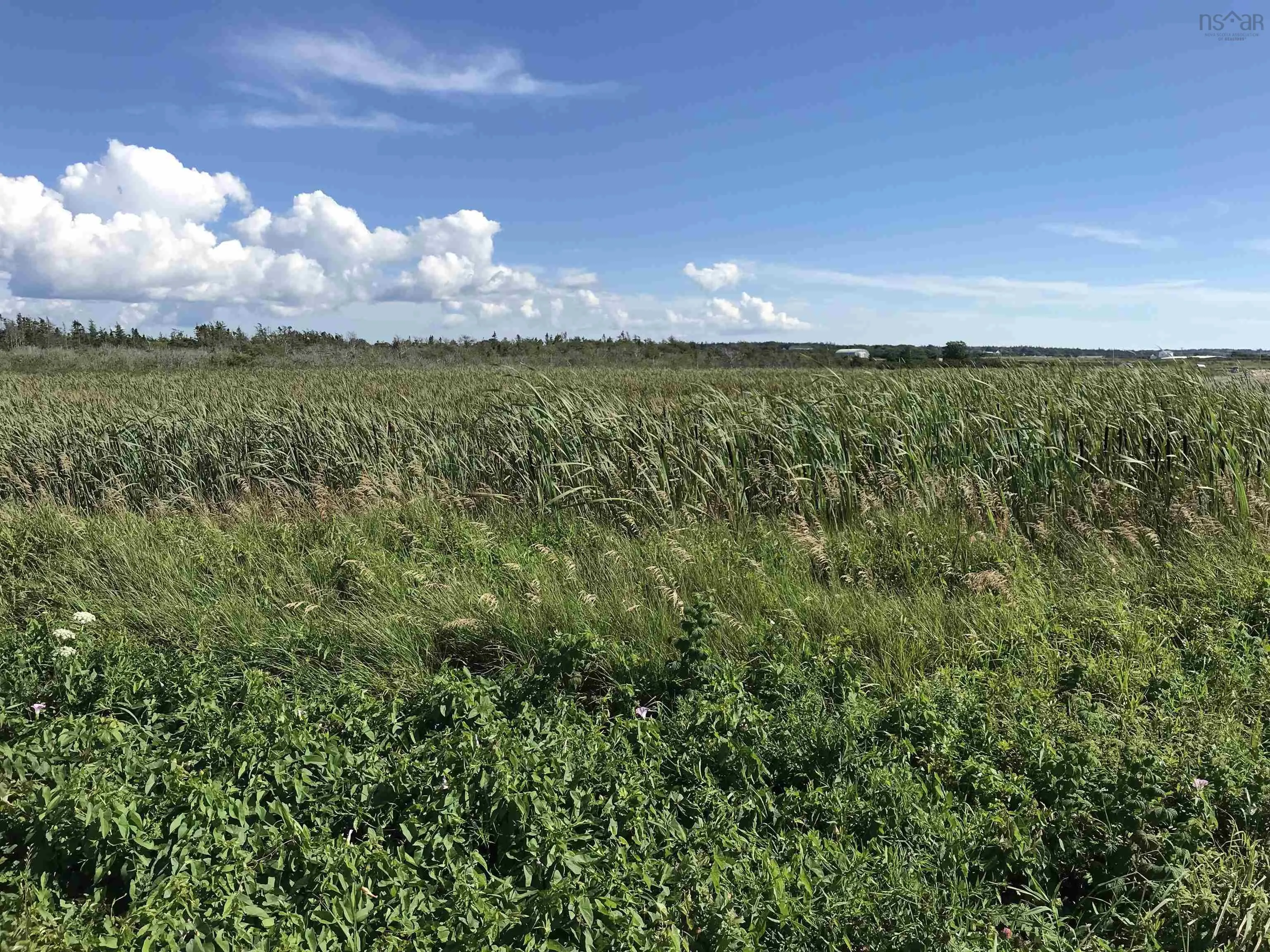 No 1 Highway, Meteghan Centre Ns B0w 2l0, ,Land,For Sale,No 1 Highway,202124755