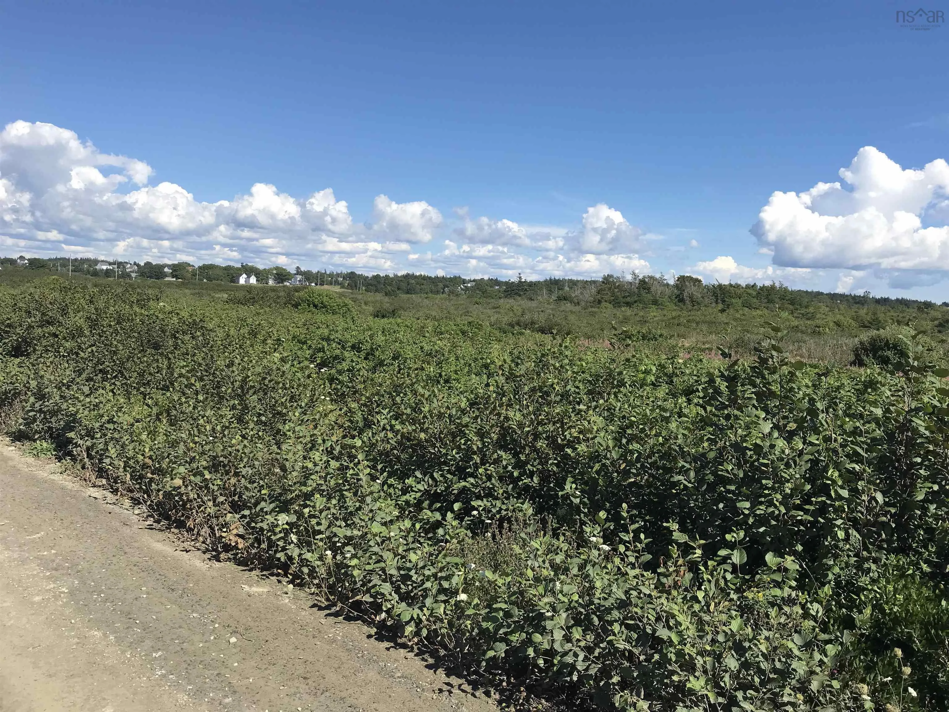 No 1 Highway, Meteghan Centre Ns B0w 2l0, ,Land,For Sale,No 1 Highway,202124755