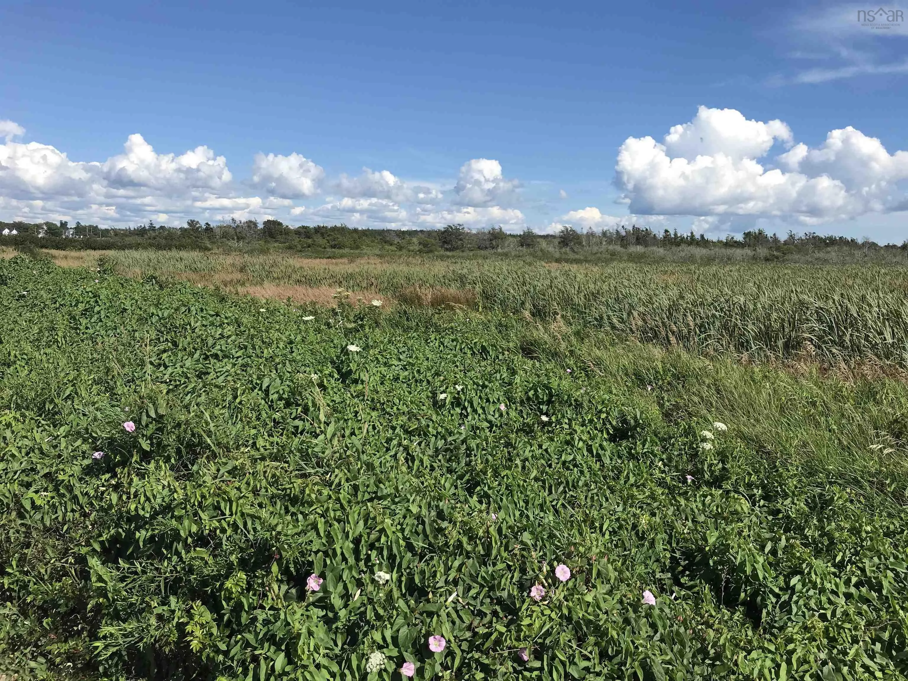No 1 Highway, Meteghan Centre Ns B0w 2l0, ,Land,For Sale,No 1 Highway,202124755