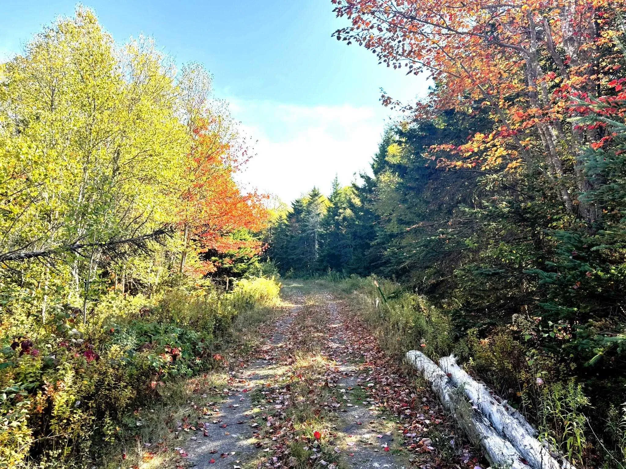 21-ax Two Island Road, Parrsboro, NS B0M 1S0, 1 Bedroom Bedrooms, ,Residential,For Sale,Two Island,202525427