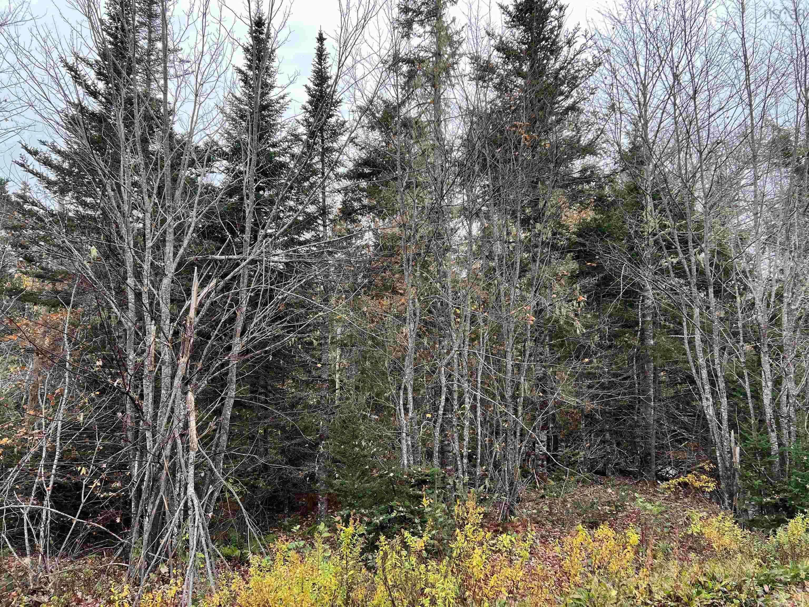 Highway 348 Highway, Glenelg Ns B2h 3s4, ,Land,For Sale,Highway 348,202323071
