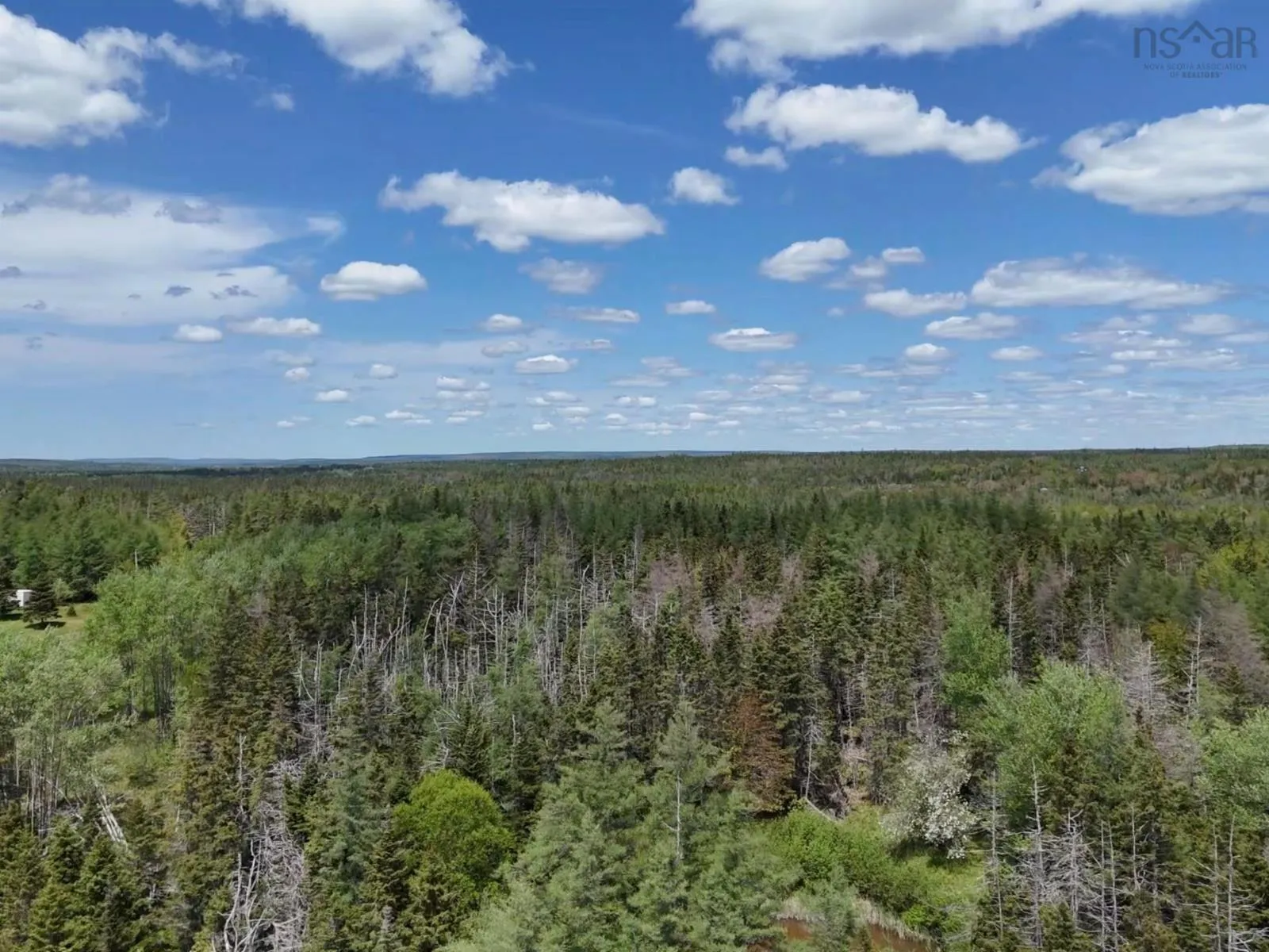 Walkerville Road, Walkerville, NS B0E 1J0, ,Land,For Sale,Walkerville,202513643