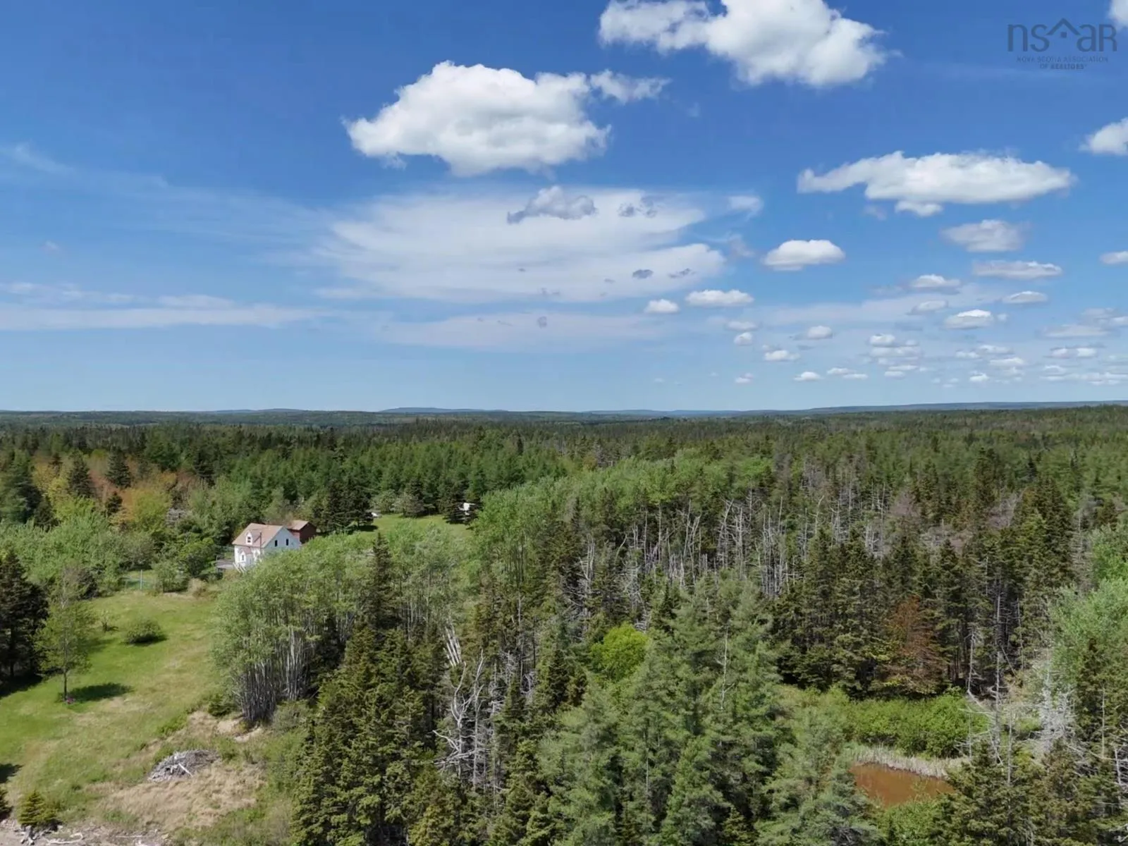 Walkerville Road, Walkerville, NS B0E 1J0, ,Land,For Sale,Walkerville,202513643