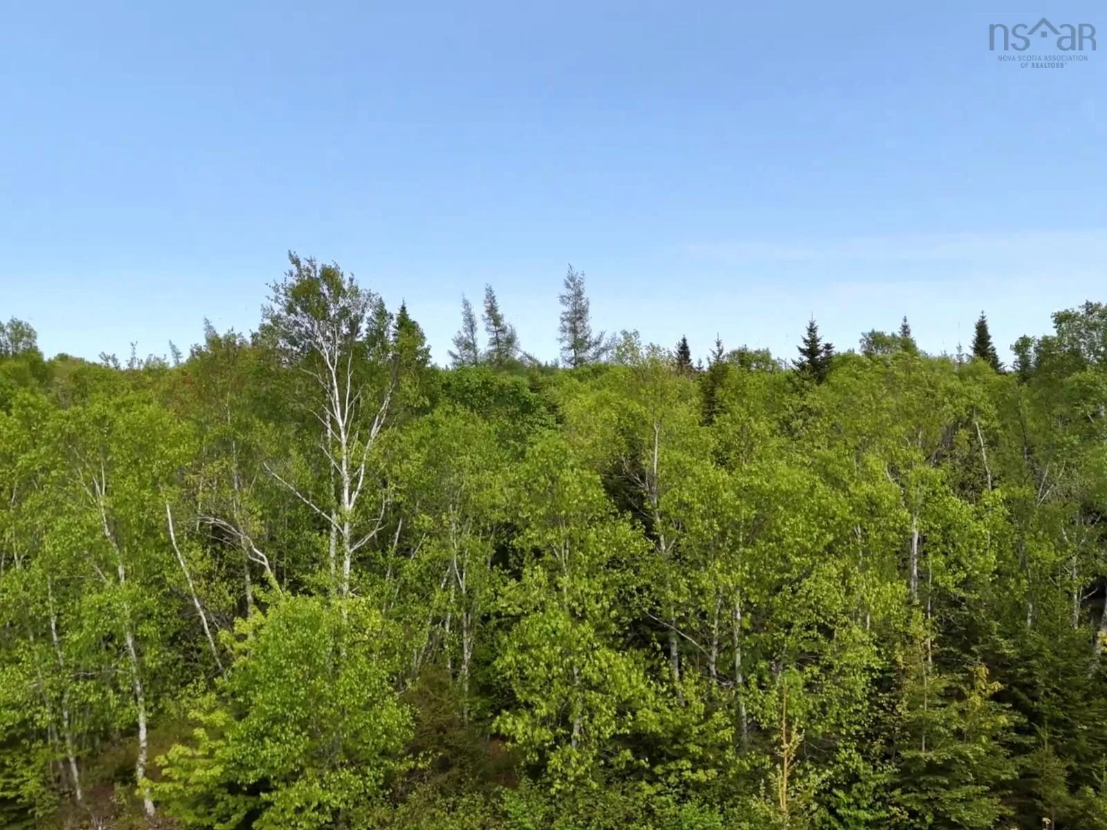 Walkerville Road, Walkerville, NS B0E 1J0, ,Land,For Sale,Walkerville,202513643